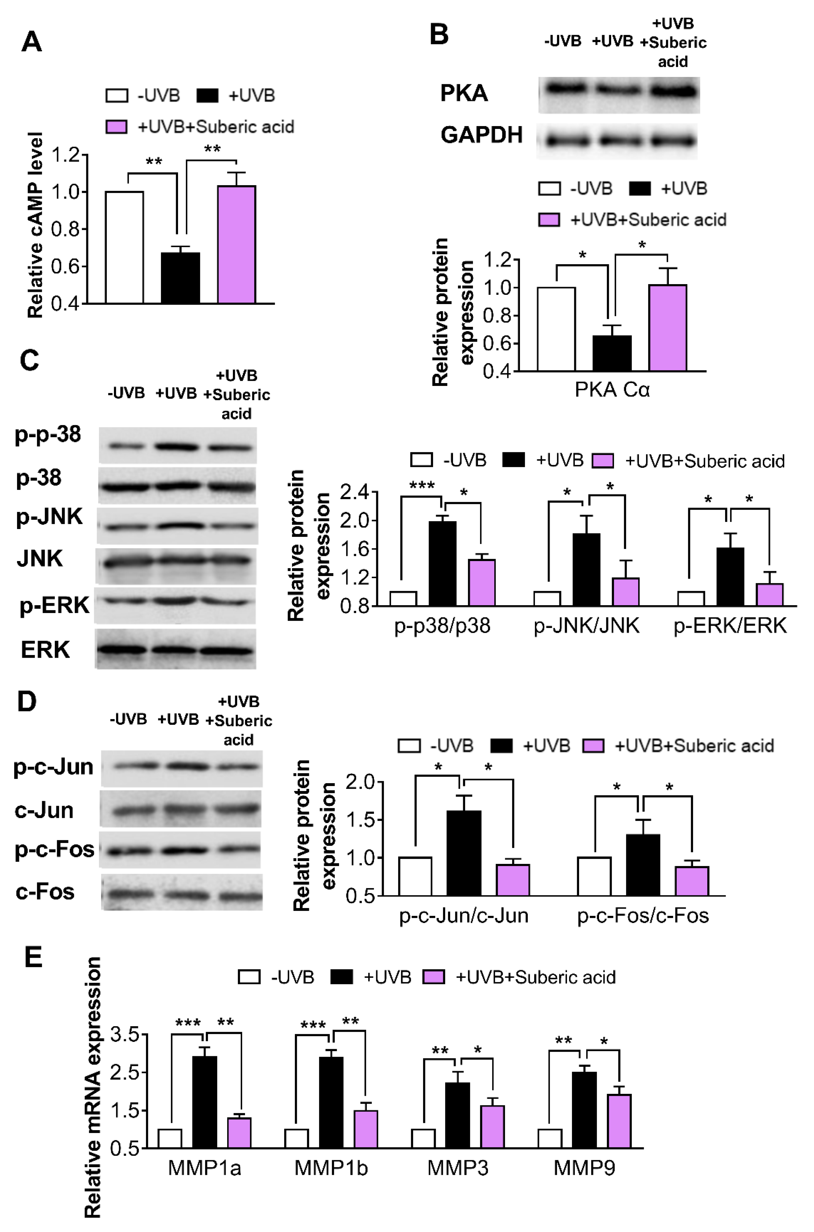 Nutrients 11 02948 g007 Nutrients 11 02948 g007