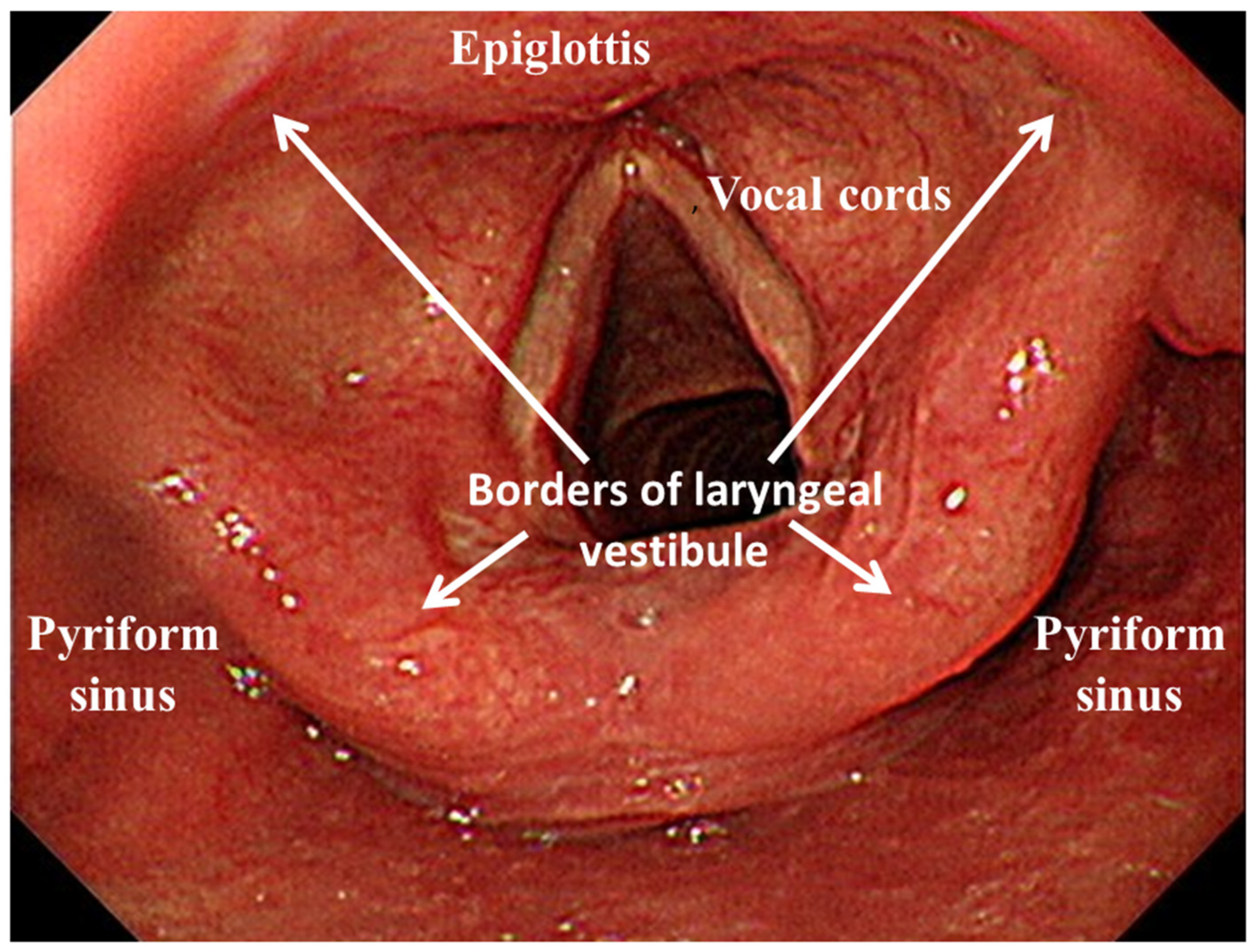Nutrients 11 02969 g001 Nutrients 11 02969 g001