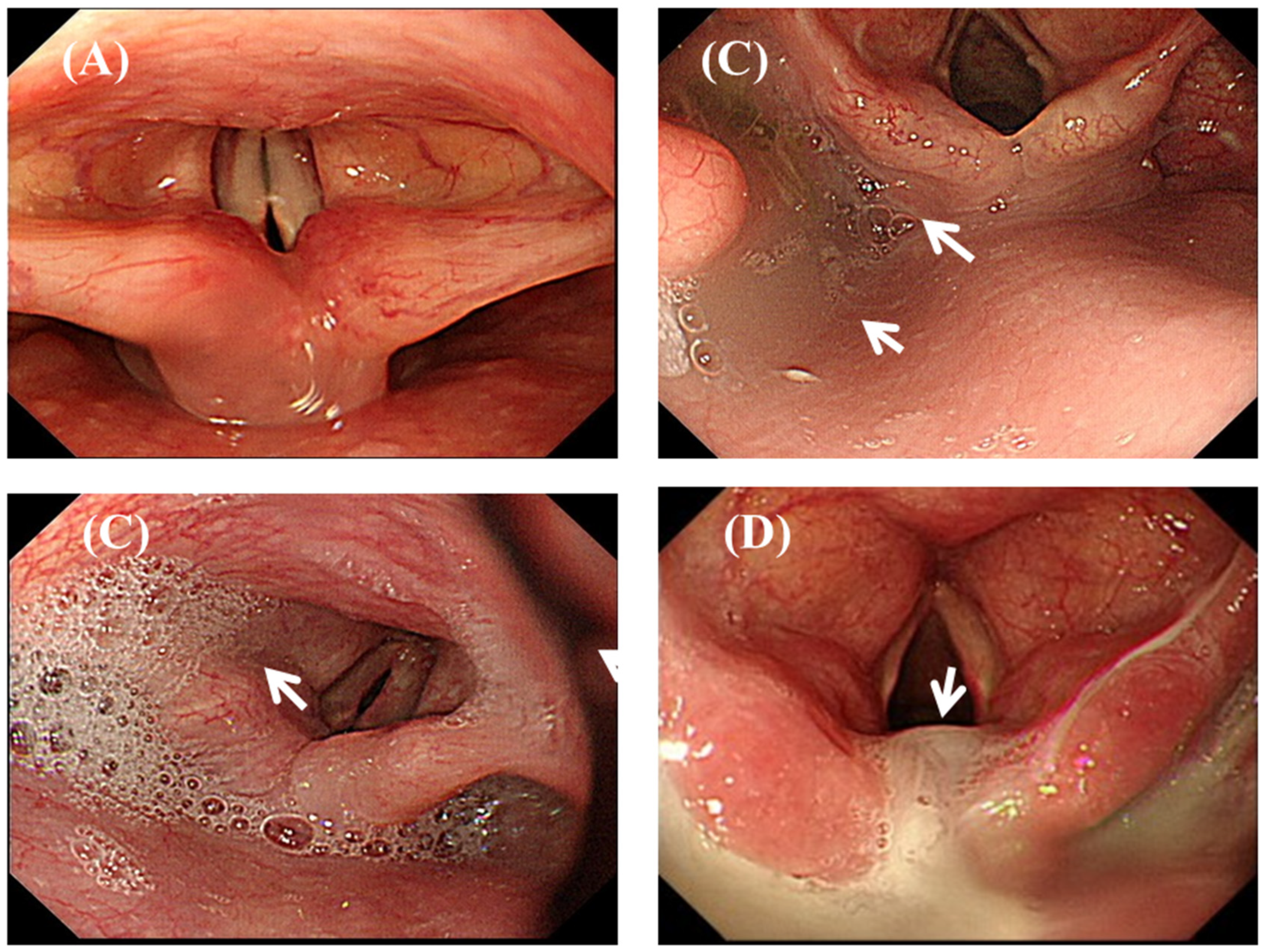 Nutrients 11 02969 g002 Nutrients 11 02969 g002