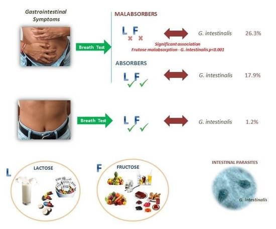 giardia infection symptoms in adults az elhízást a férgek okozzák