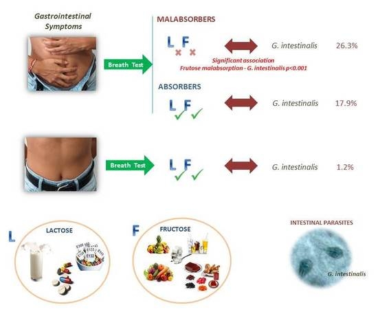 giardia infection symptoms humans