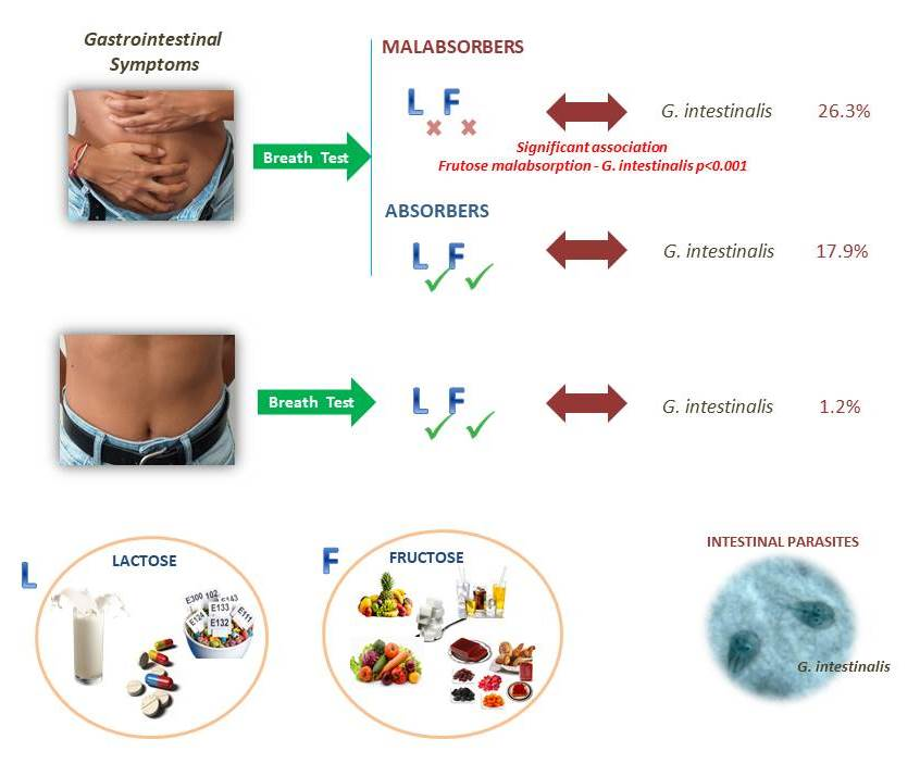 giardia low white blood cell count parazitafertőzés és kezelés jelei