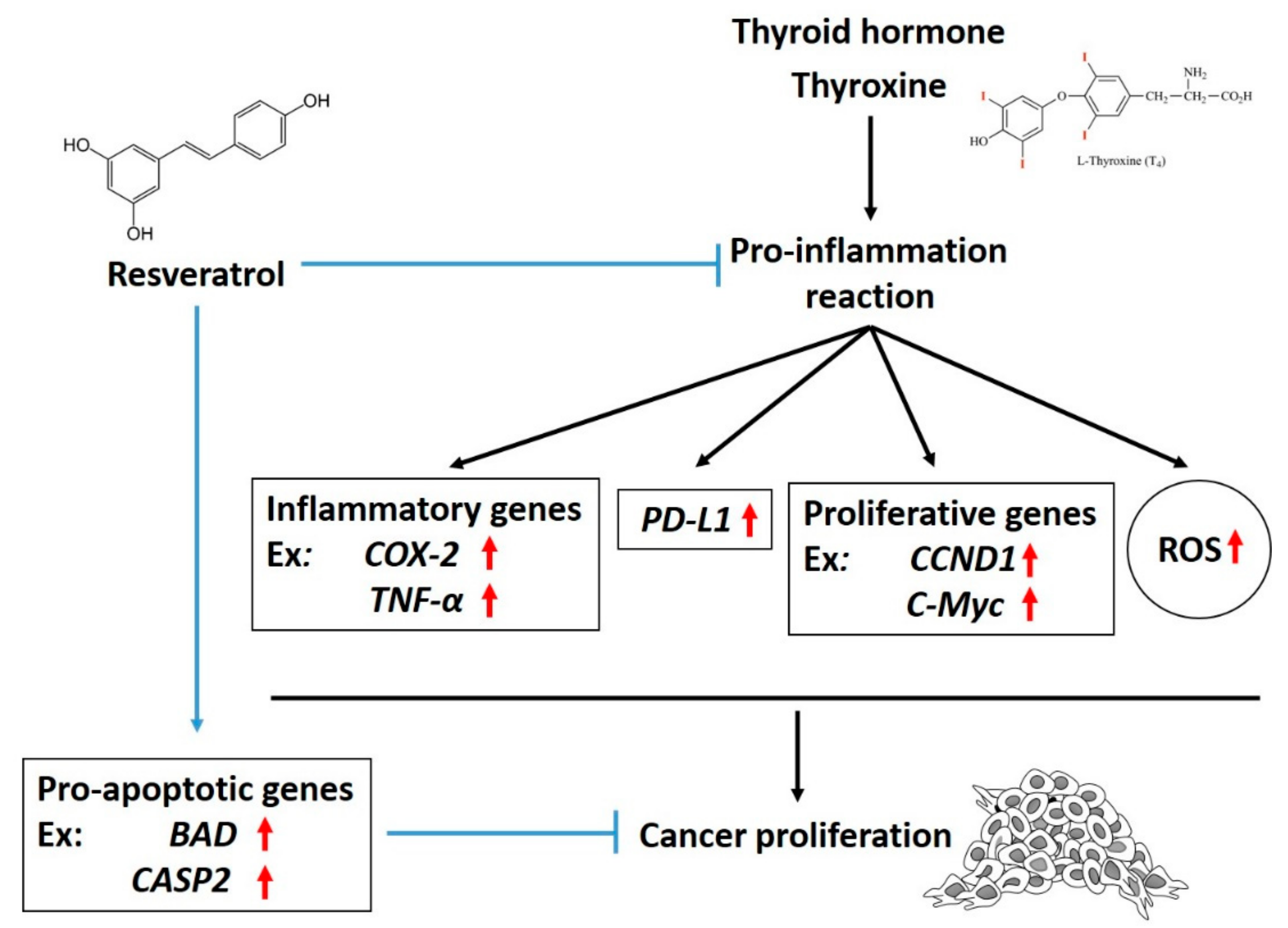 Nutrients 11 02979 g001 Nutrients 11 02979 g001