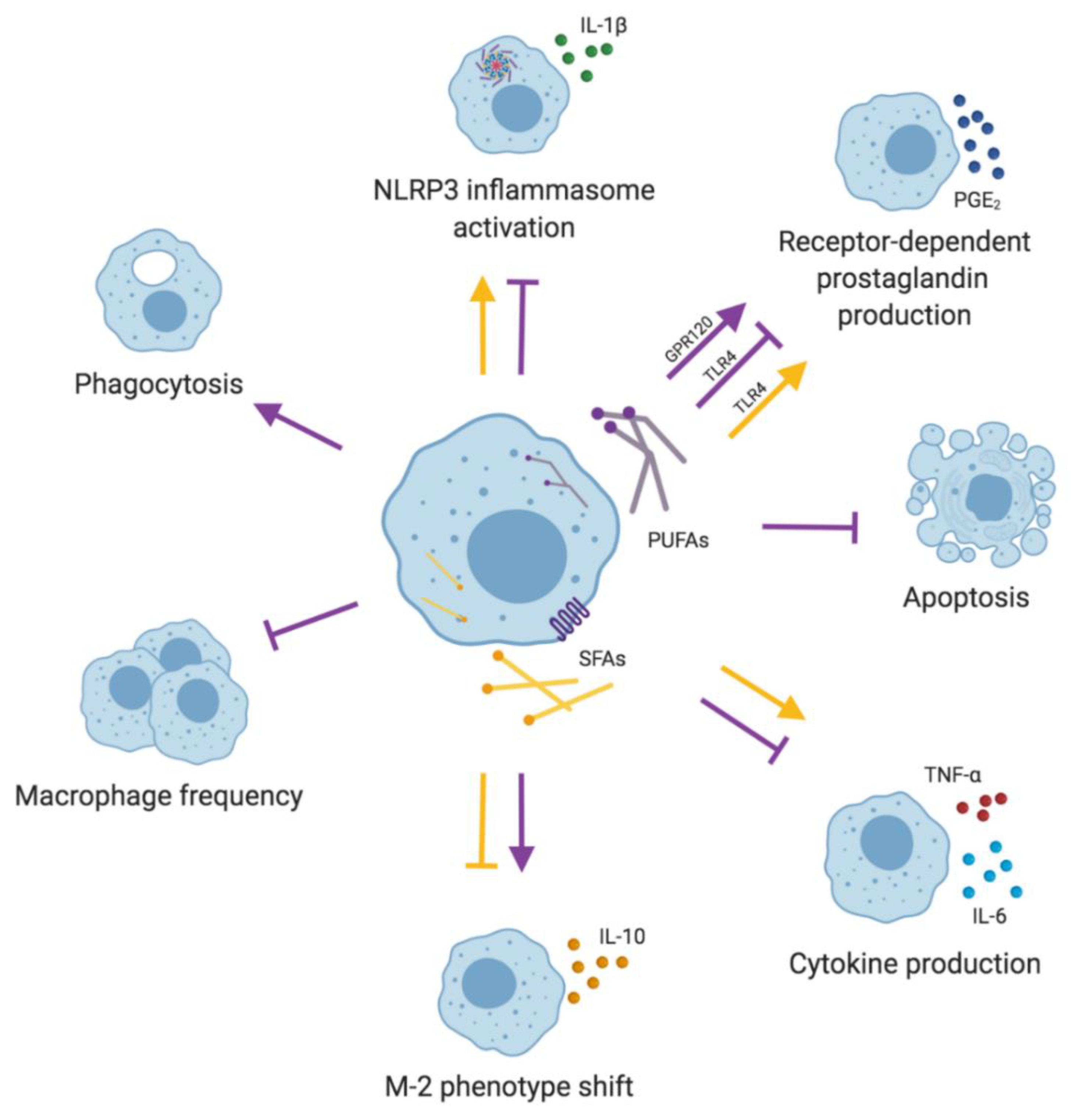 Nutrients 11 02990 g003