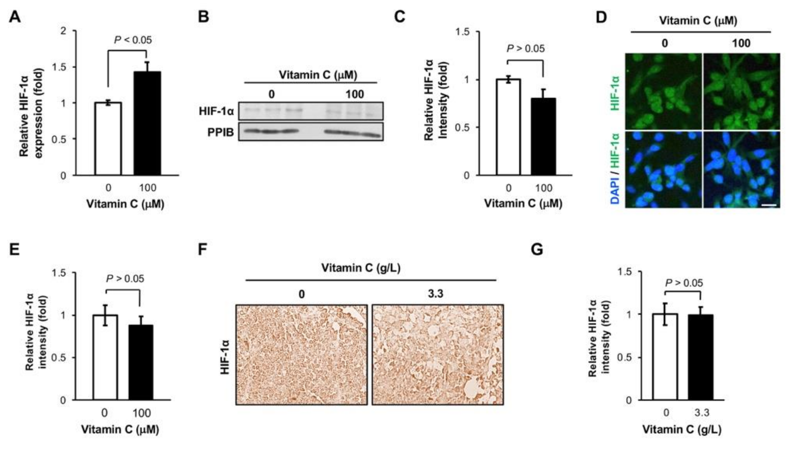 Nutrients 11 02997 g002