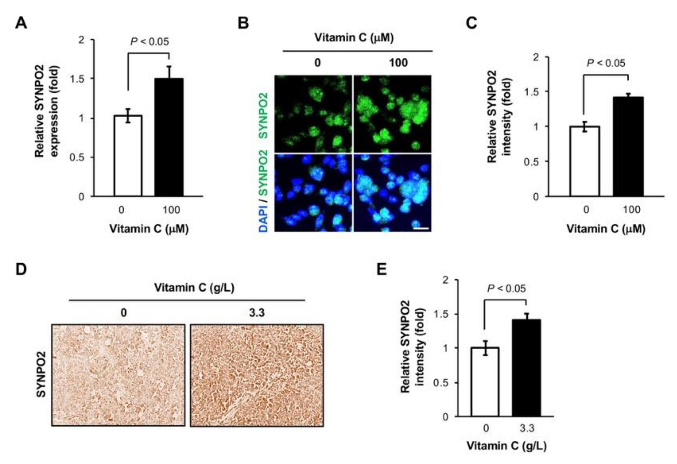 Nutrients 11 02997 g003