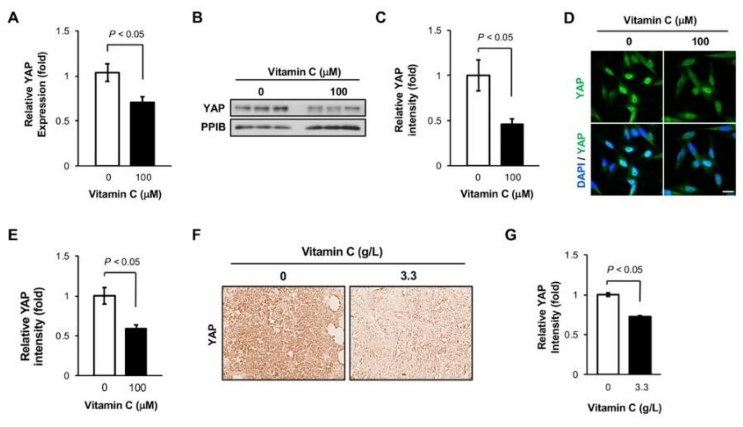 Nutrients 11 02997 g004