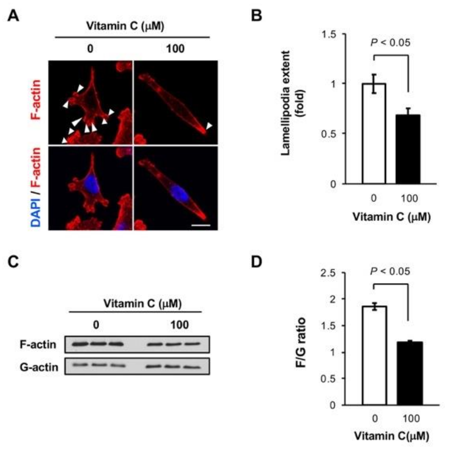 Nutrients 11 02997 g005