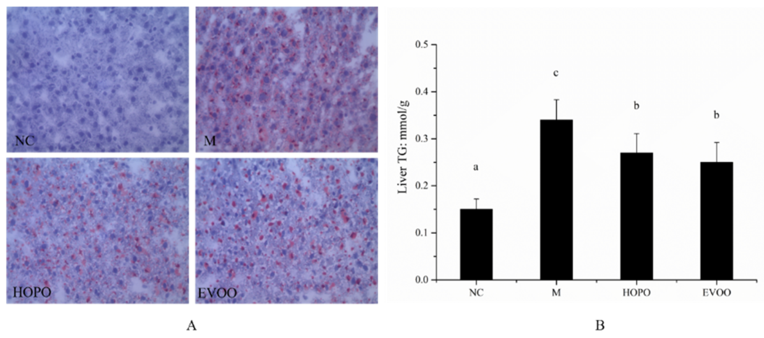 Nutrients 11 03005 g002
