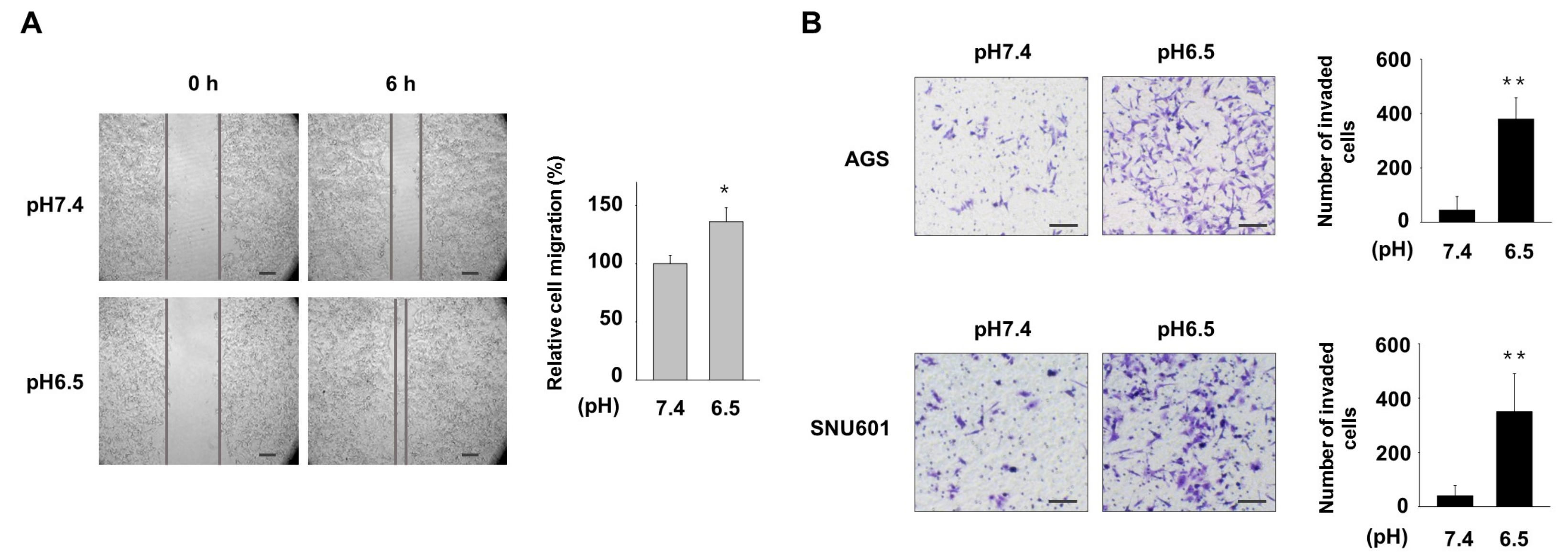 Nutrients 11 03023 g001