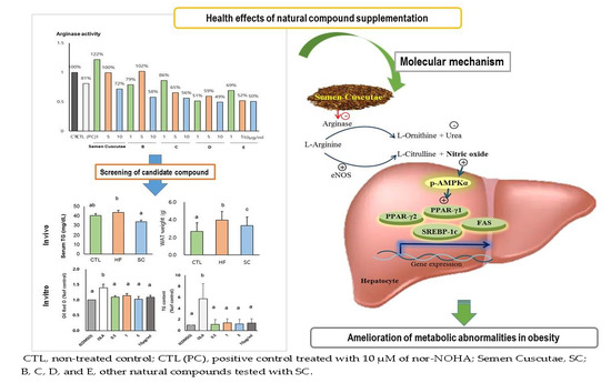dyna tonic nourishes the liver to improve visual acuity