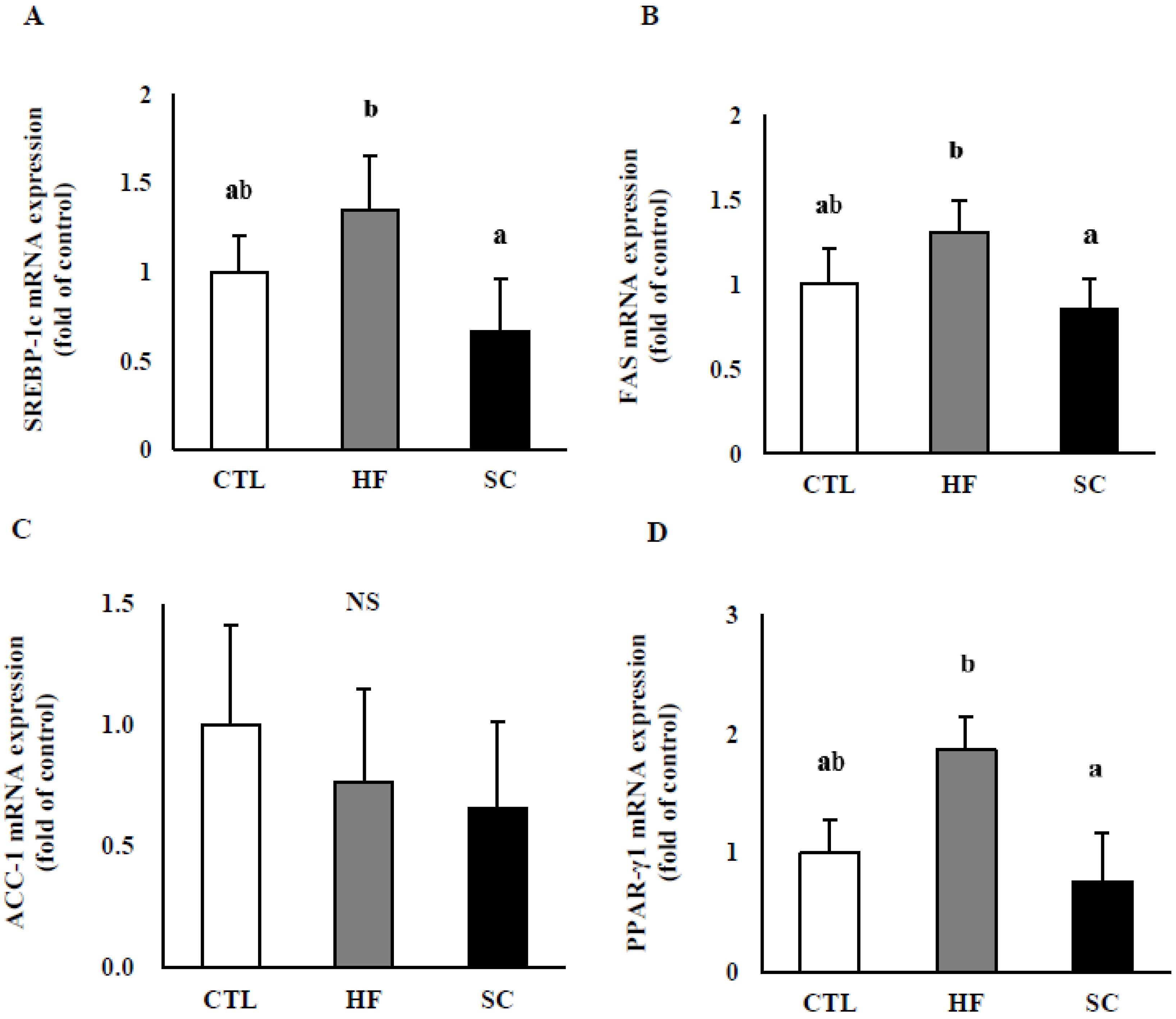 Nutrients 11 03035 g004a Nutrients 11 03035 g004a