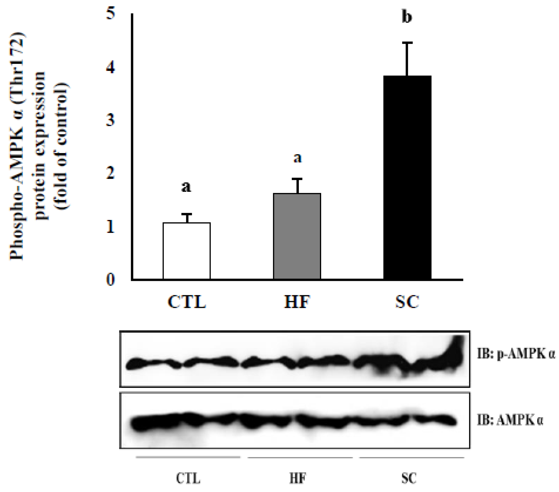 Nutrients 11 03035 g005 Nutrients 11 03035 g005