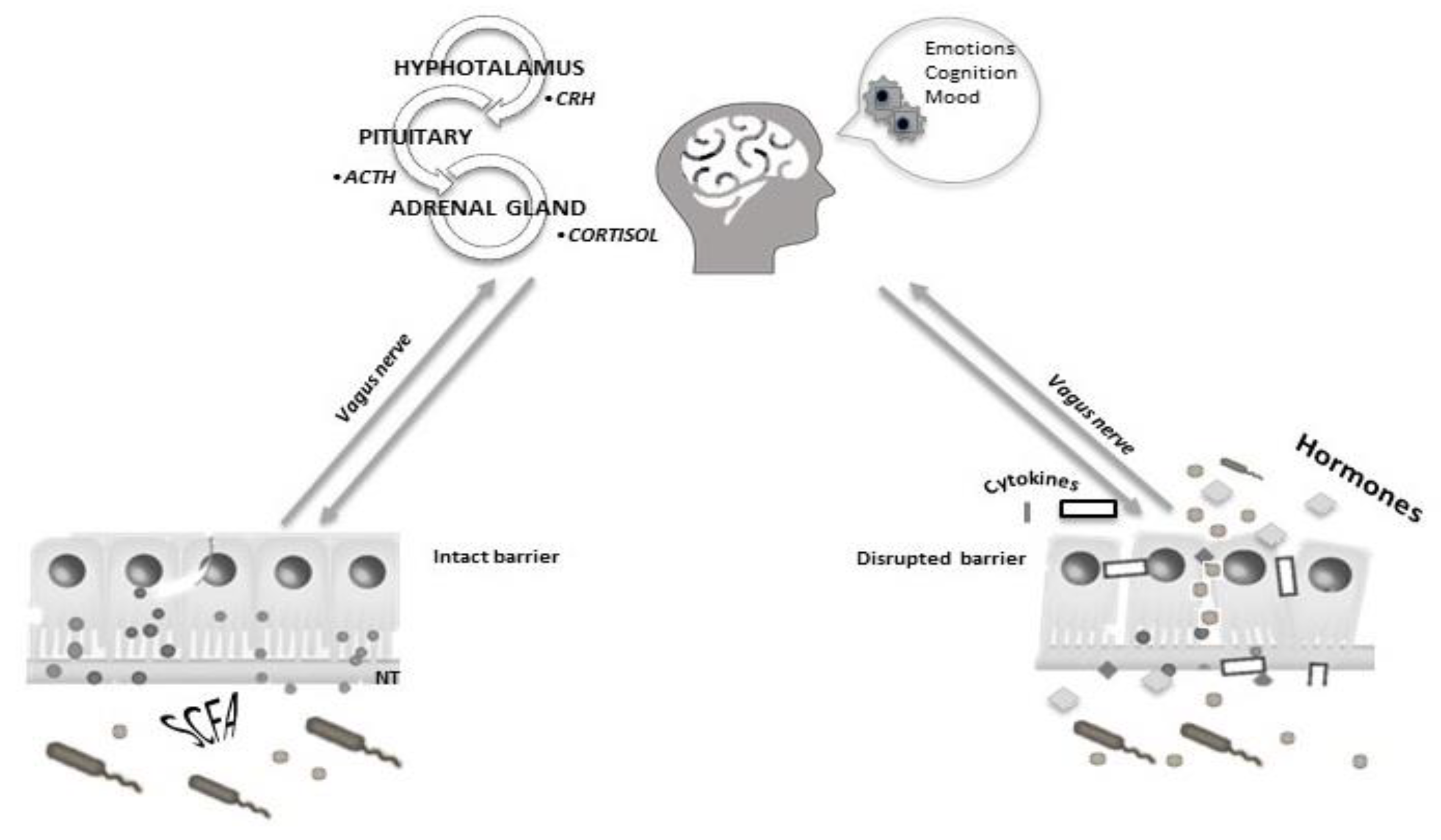 Nutrients 11 03038 g003