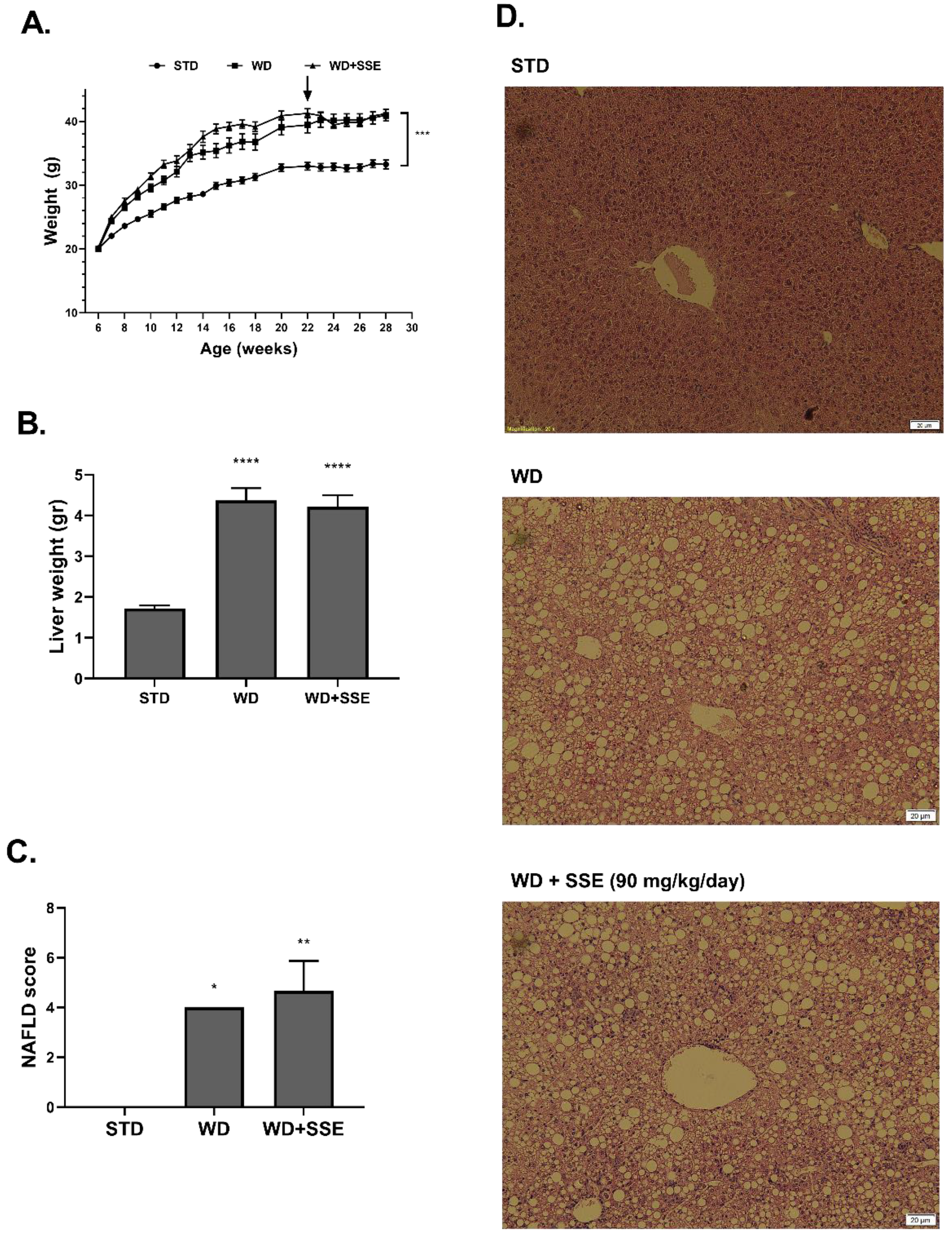 Nutrients 11 03044 g007 Nutrients 11 03044 g007