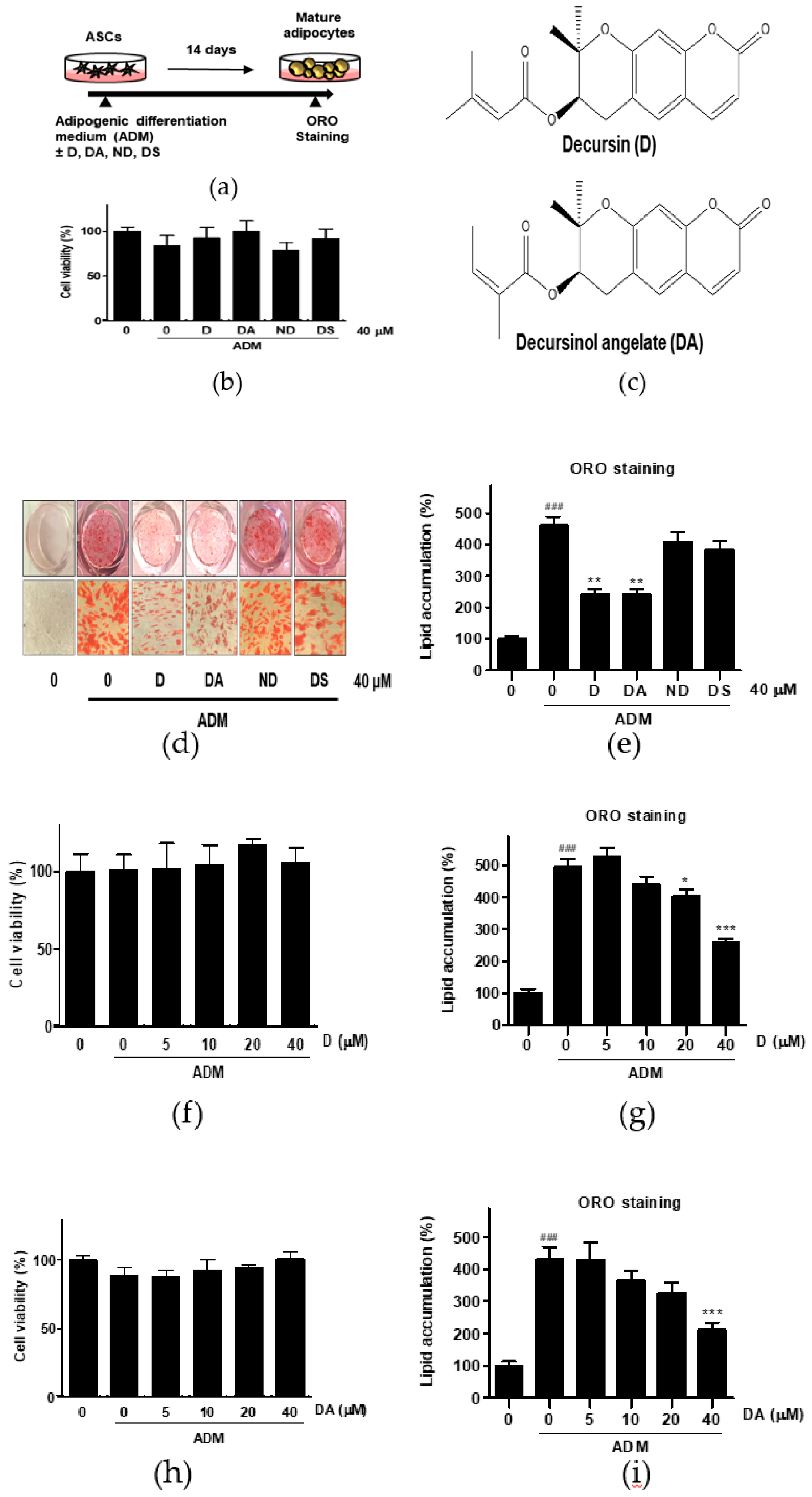 Nutrients 12 00013 g001 Nutrients 12 00013 g001