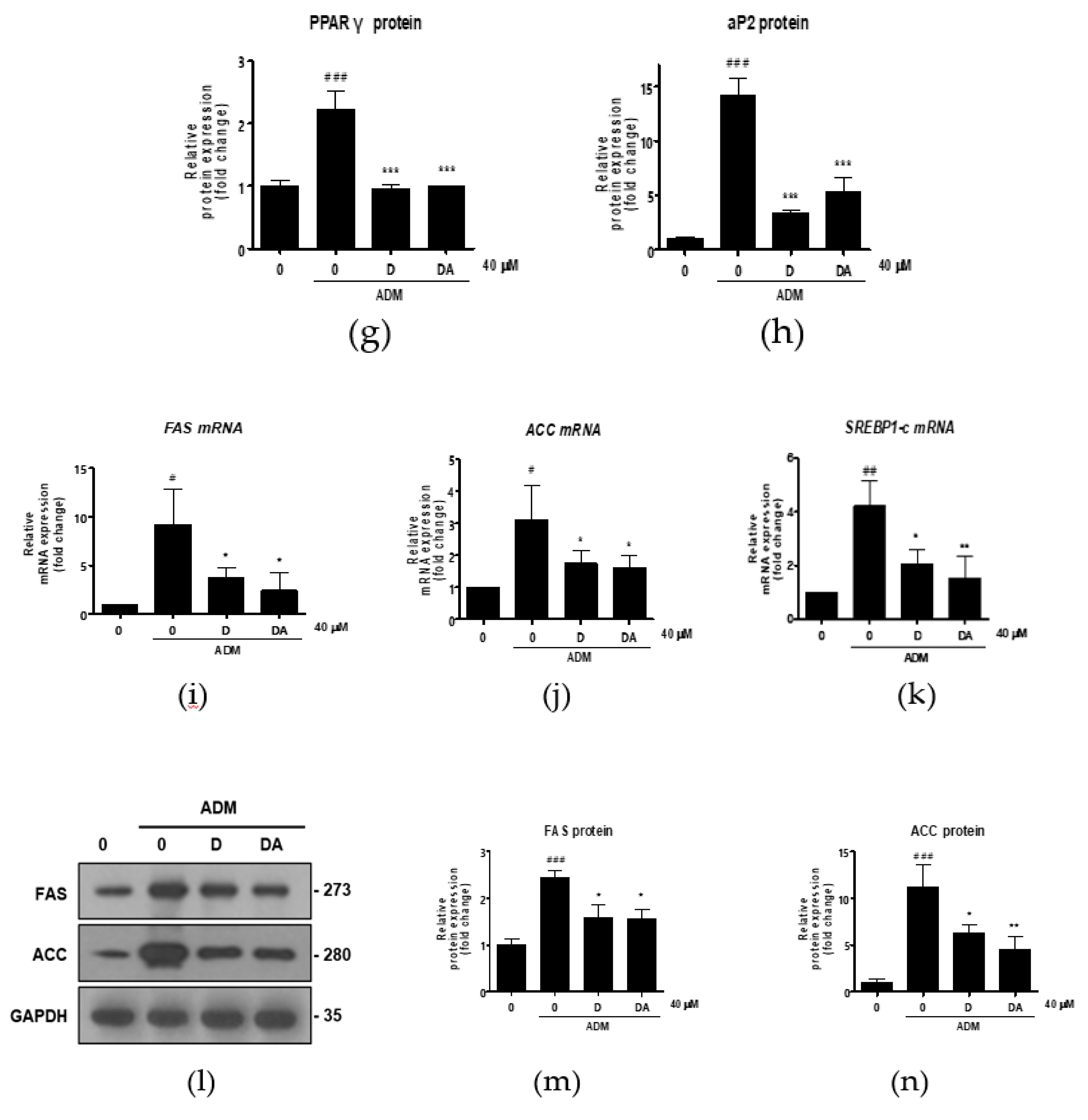 Nutrients 12 00013 g002b Nutrients 12 00013 g002b