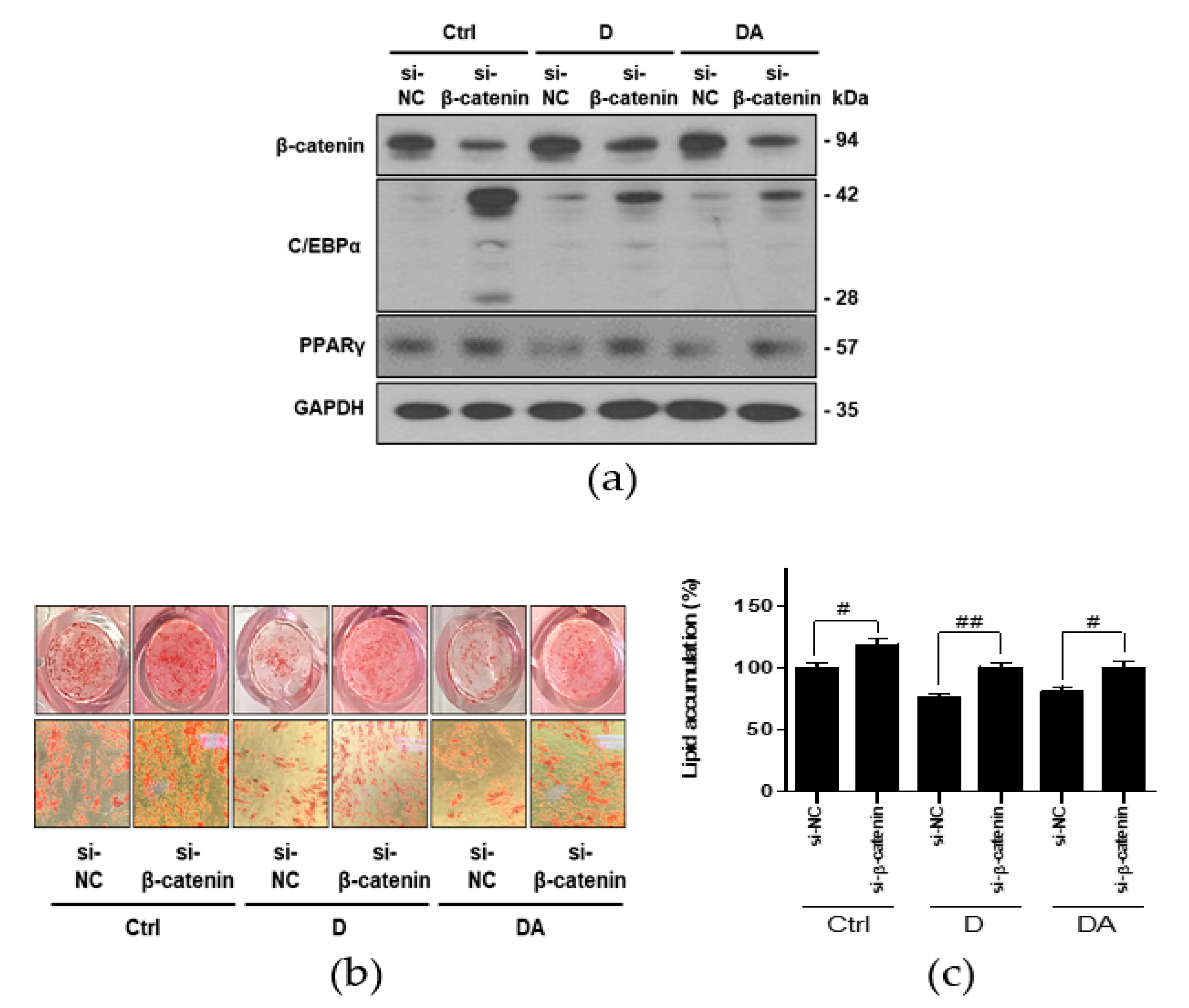Nutrients 12 00013 g005 Nutrients 12 00013 g005