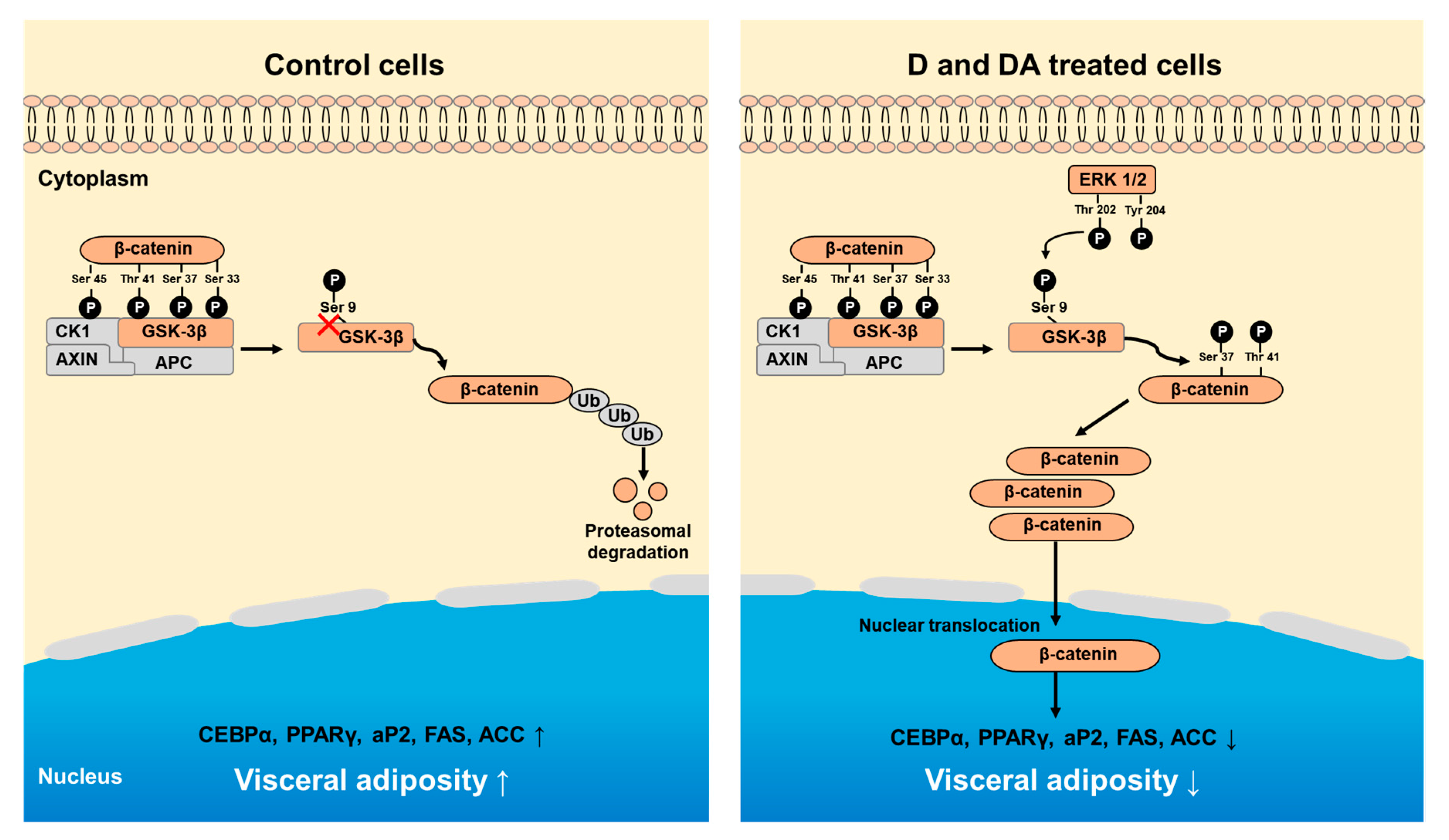 Nutrients 12 00013 g006 Nutrients 12 00013 g006