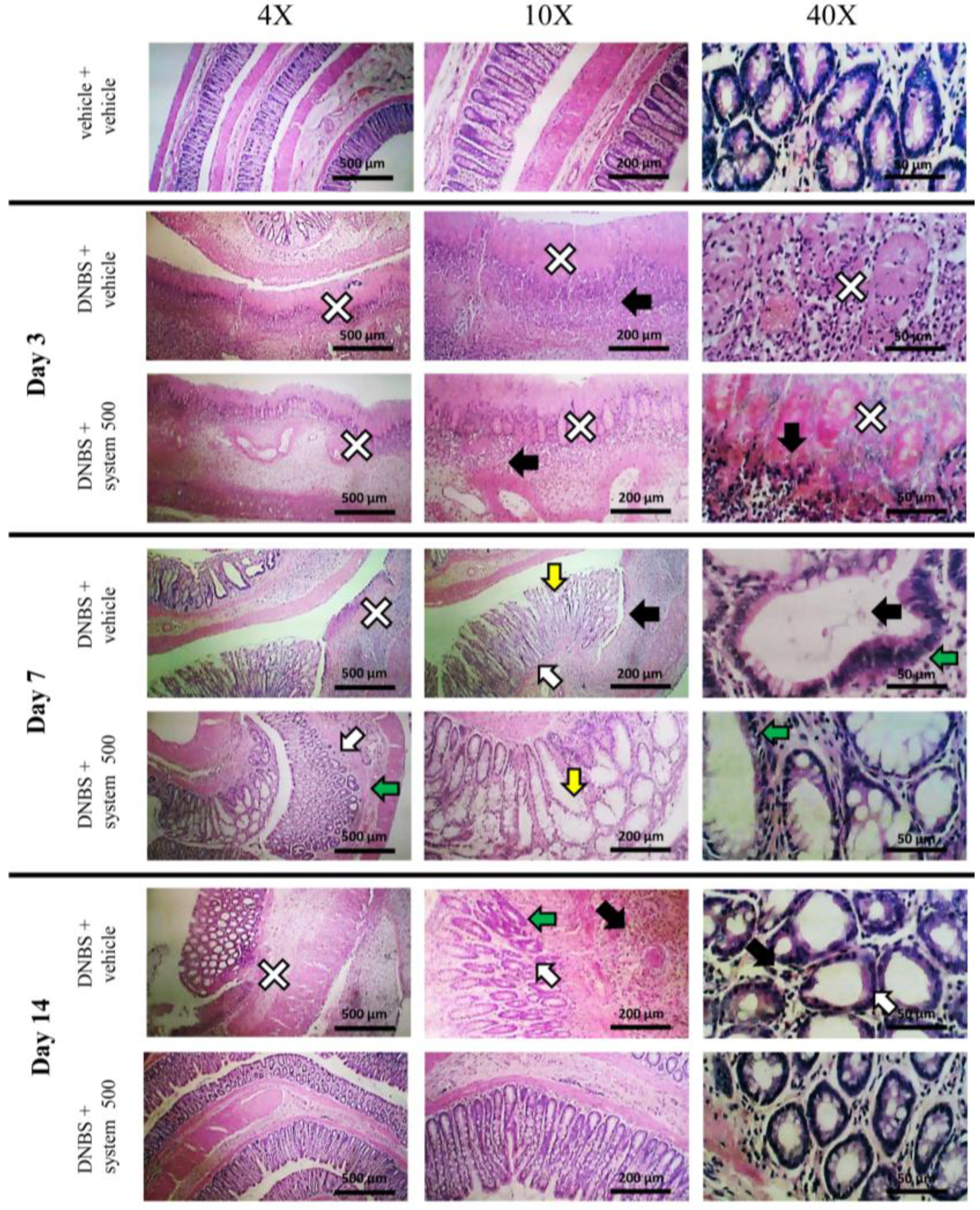 Nutrients 12 00022 g004 Nutrients 12 00022 g004