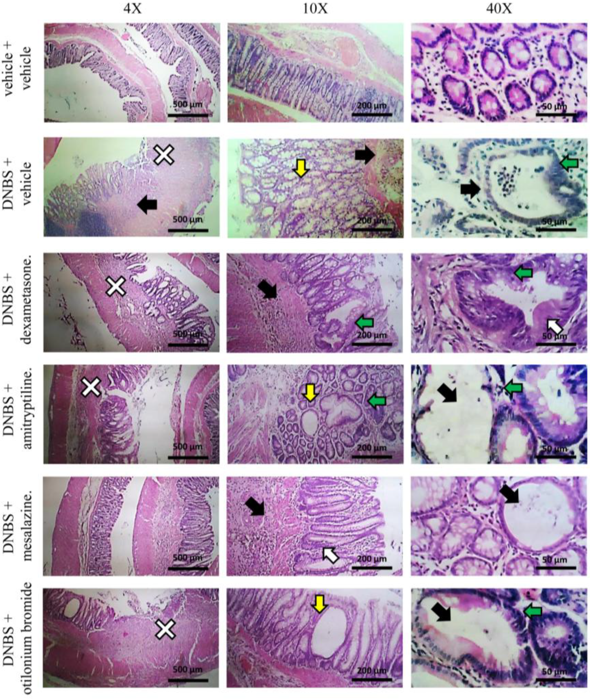 Nutrients 12 00022 g006 Nutrients 12 00022 g006