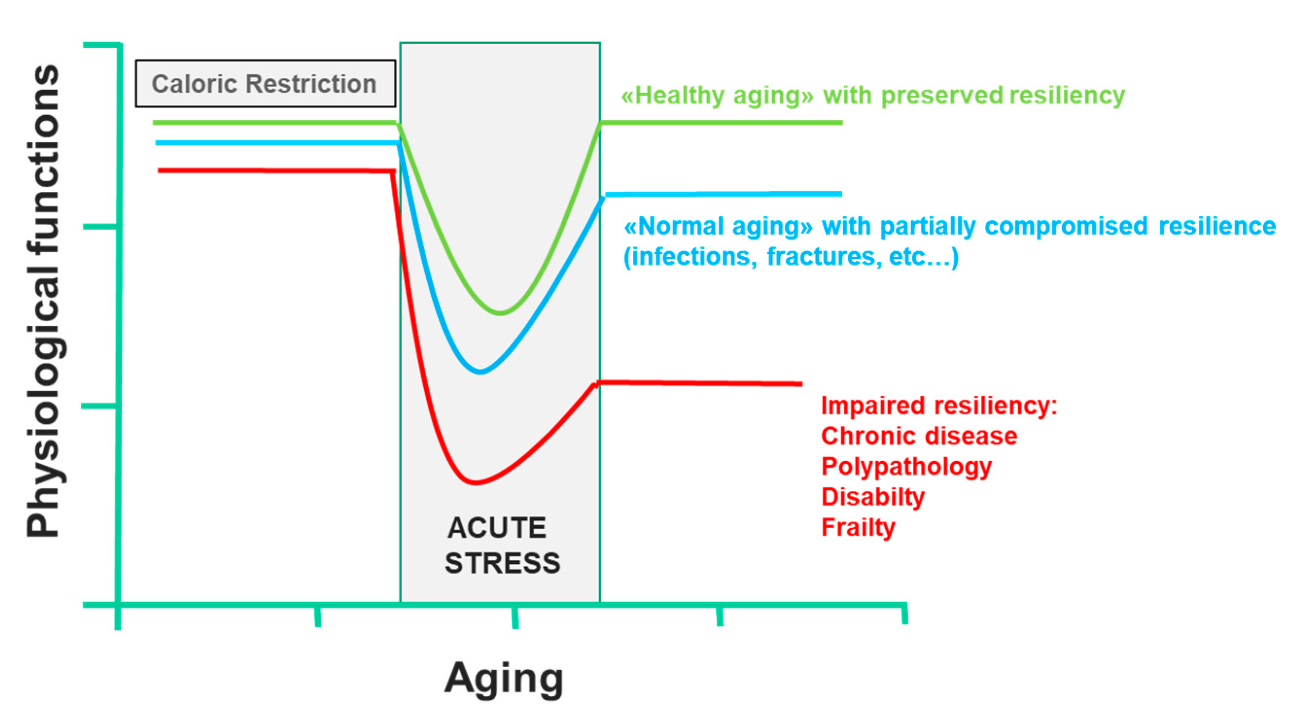 Nutrients 12 00035 g004 Nutrients 12 00035 g004