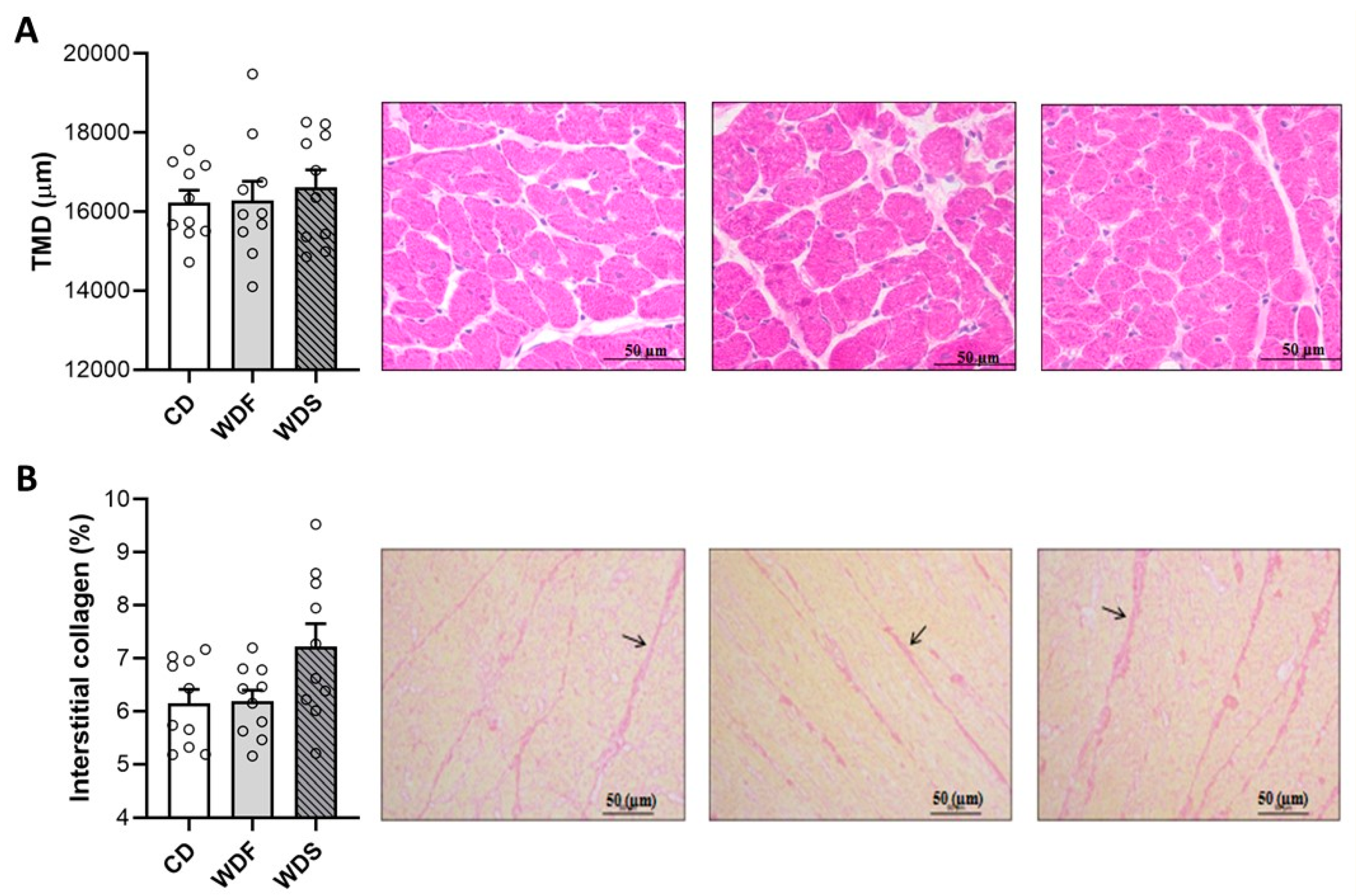 Nutrients 12 00068 g008 Nutrients 12 00068 g008