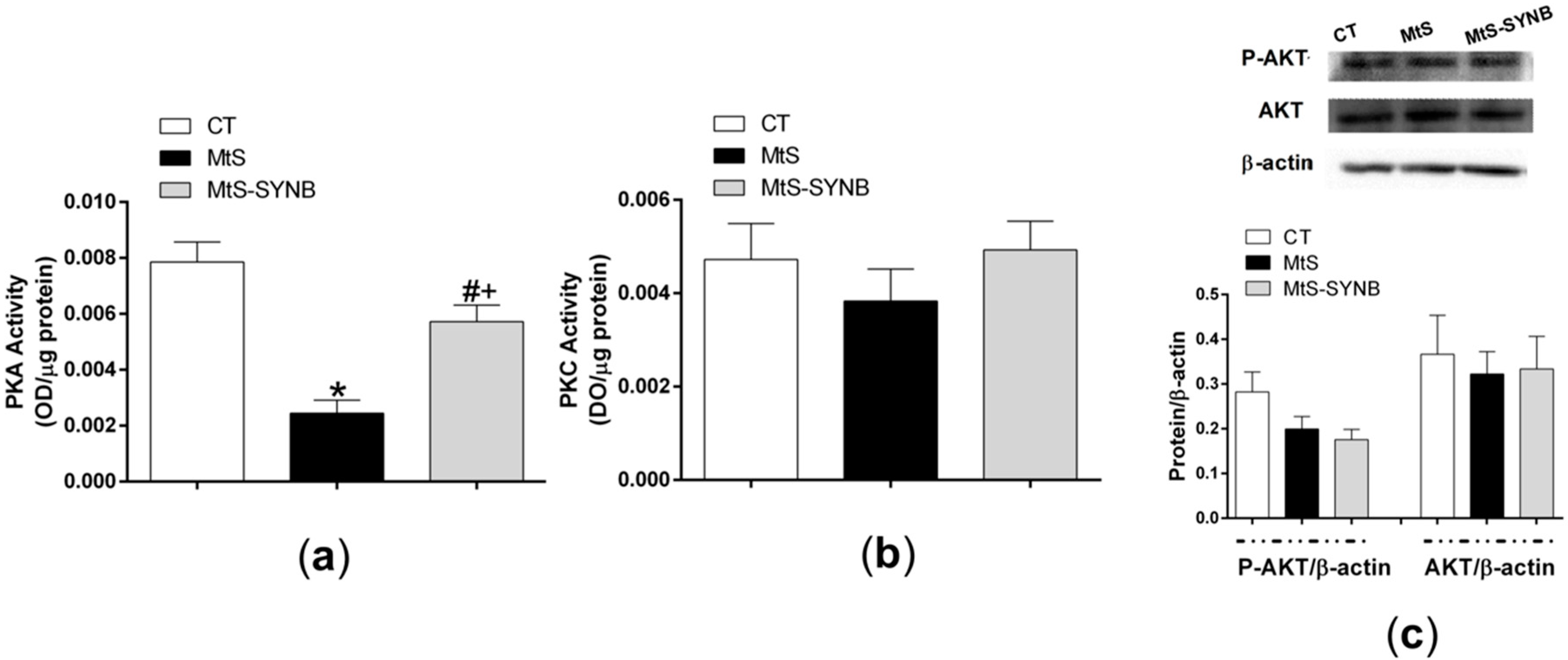 Nutrients 12 00117 g008 Nutrients 12 00117 g008