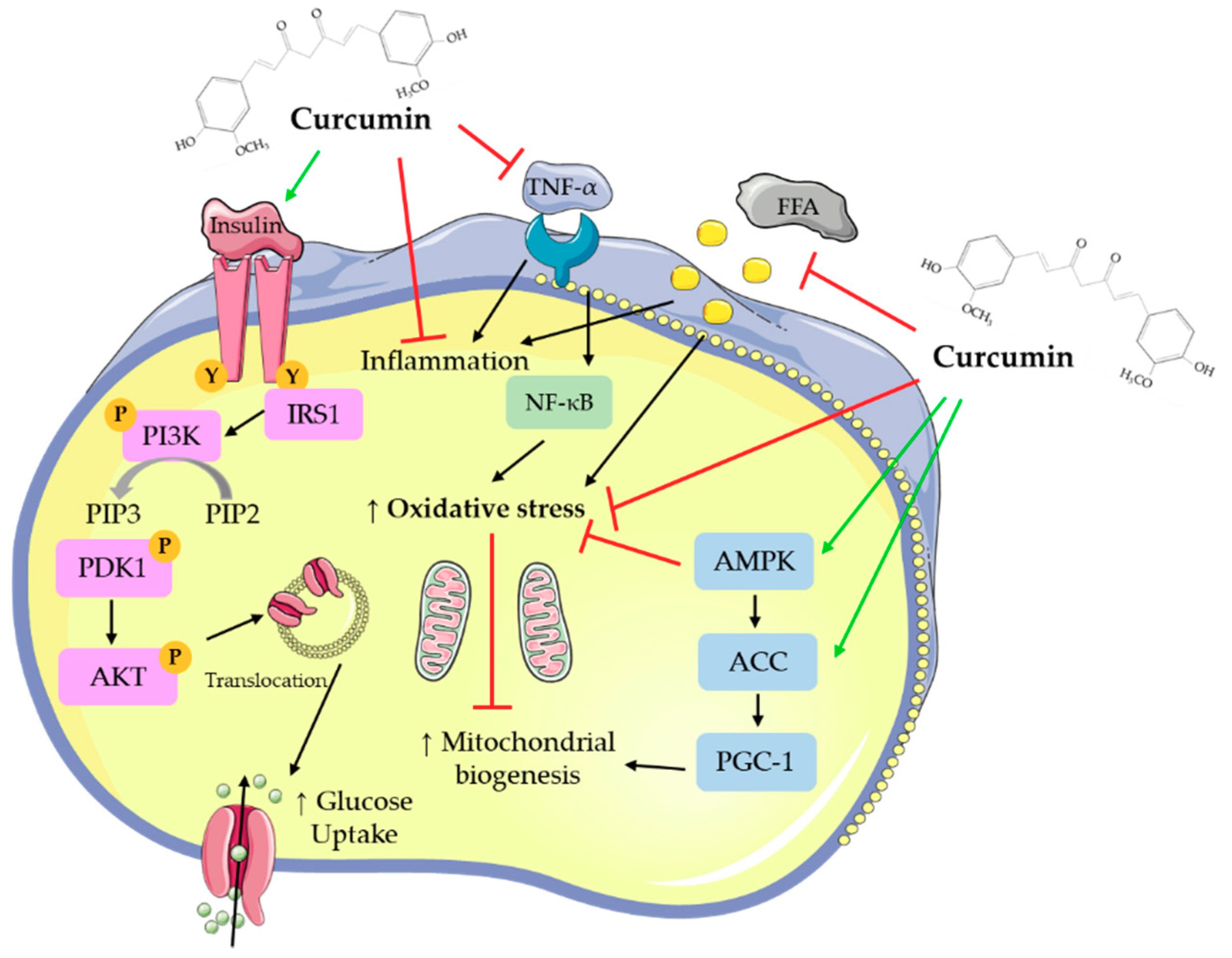 Nutrients 12 00118 g002 Nutrients 12 00118 g002