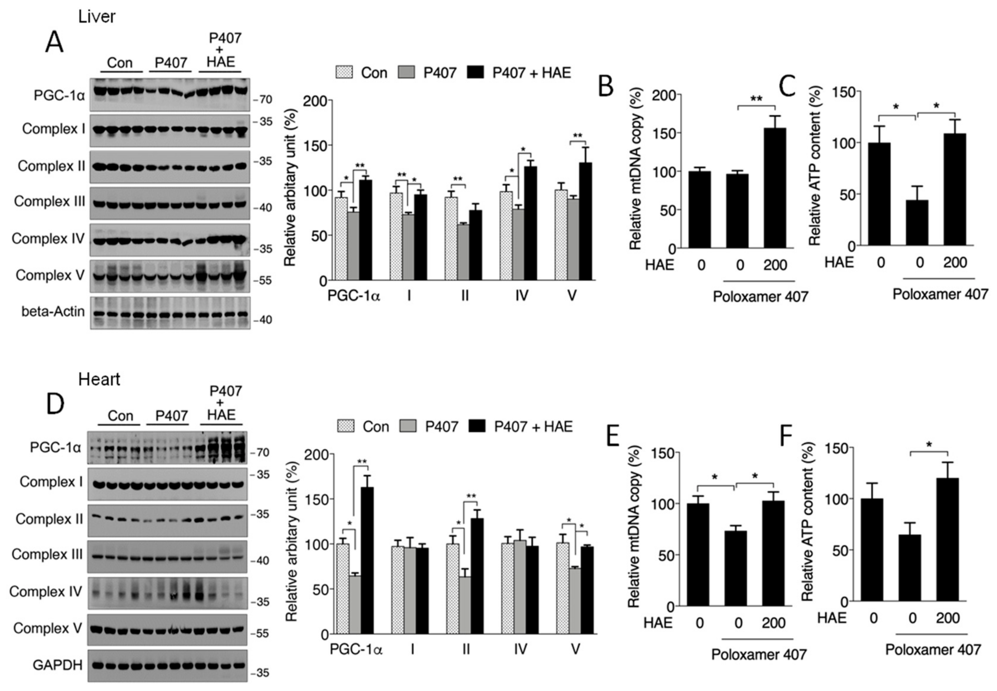 Nutrients 12 00164 g005