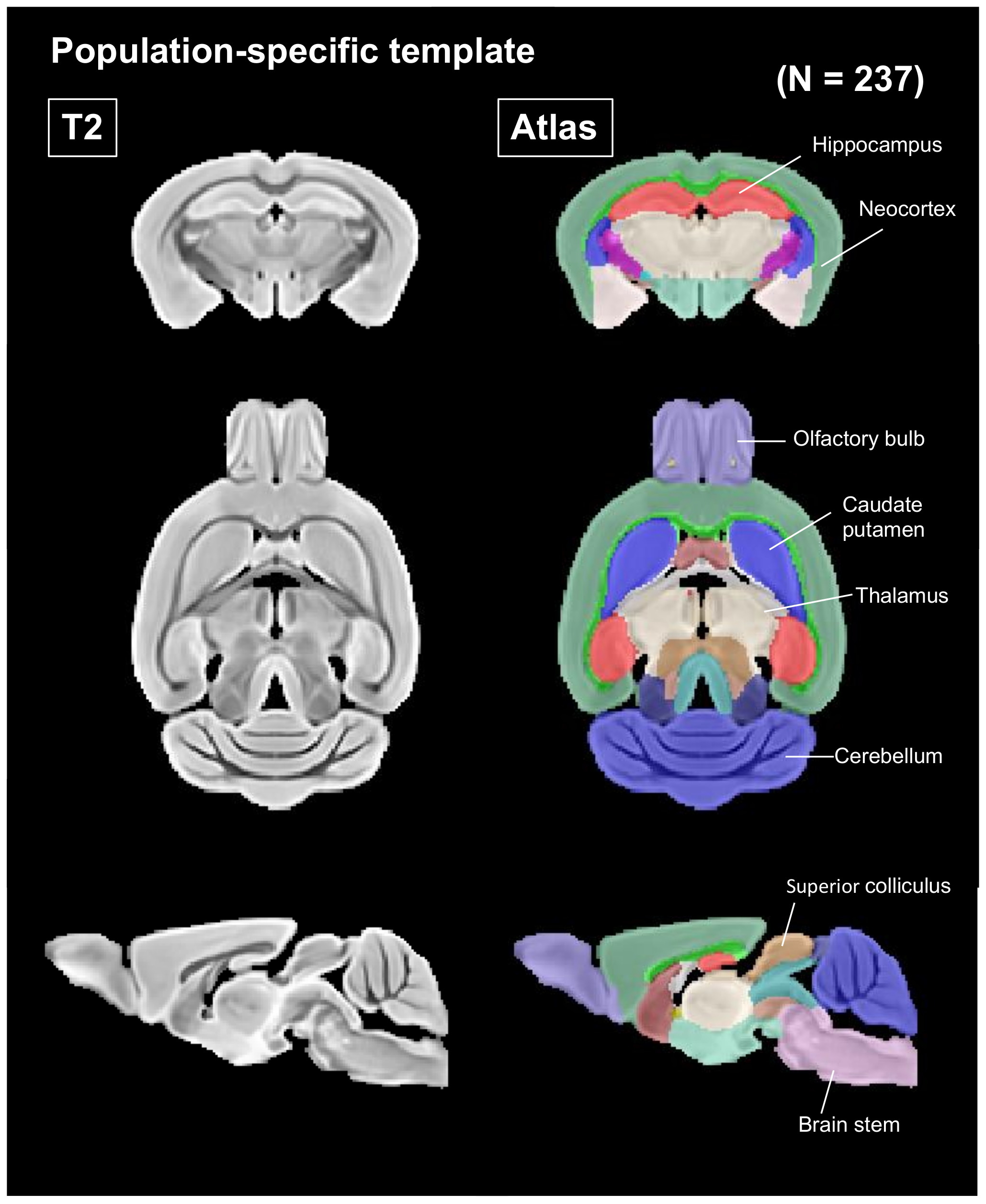 Nutrients 12 00174 g002 Nutrients 12 00174 g002
