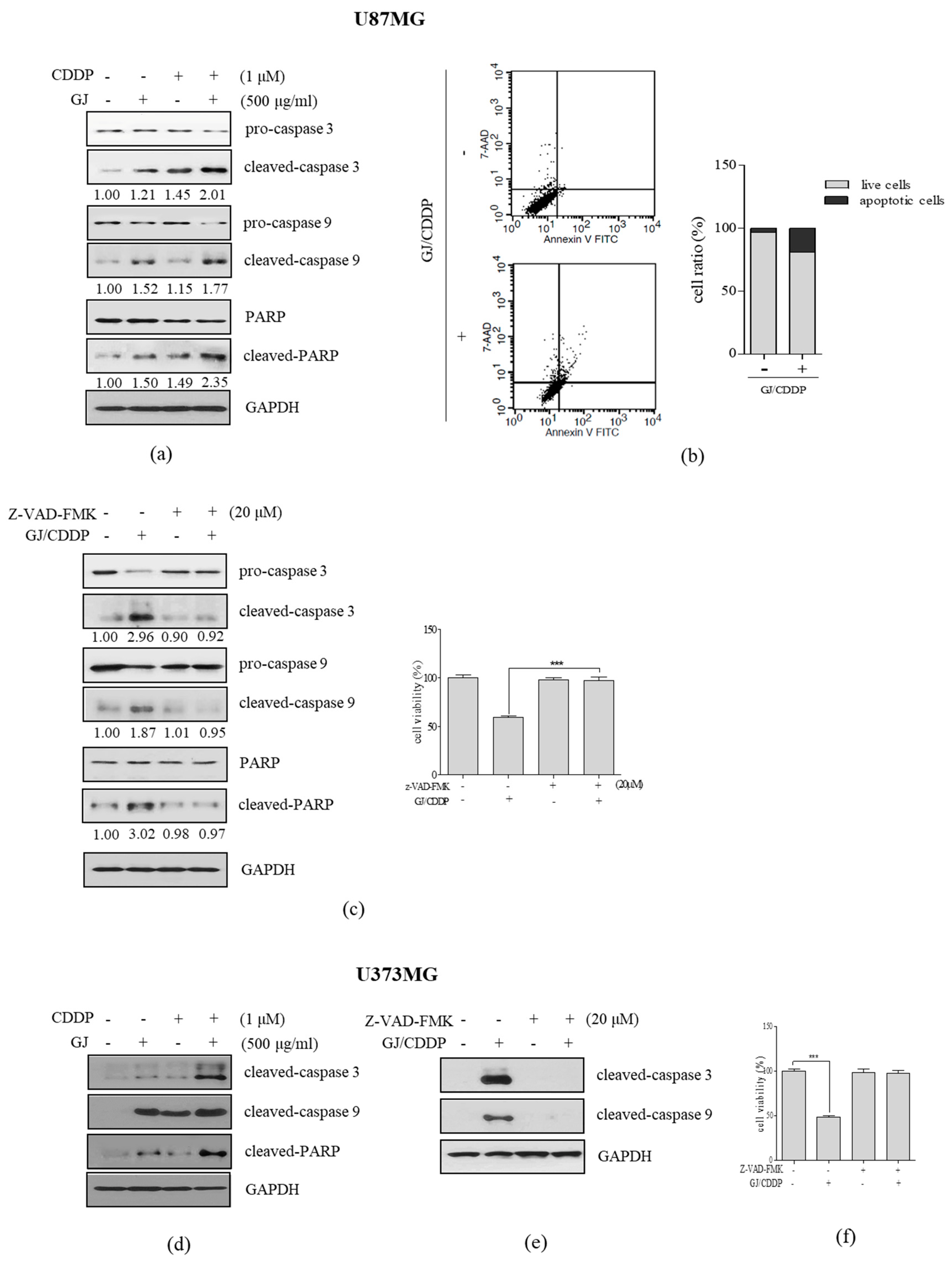 Nutrients 12 00196 g003 Nutrients 12 00196 g003