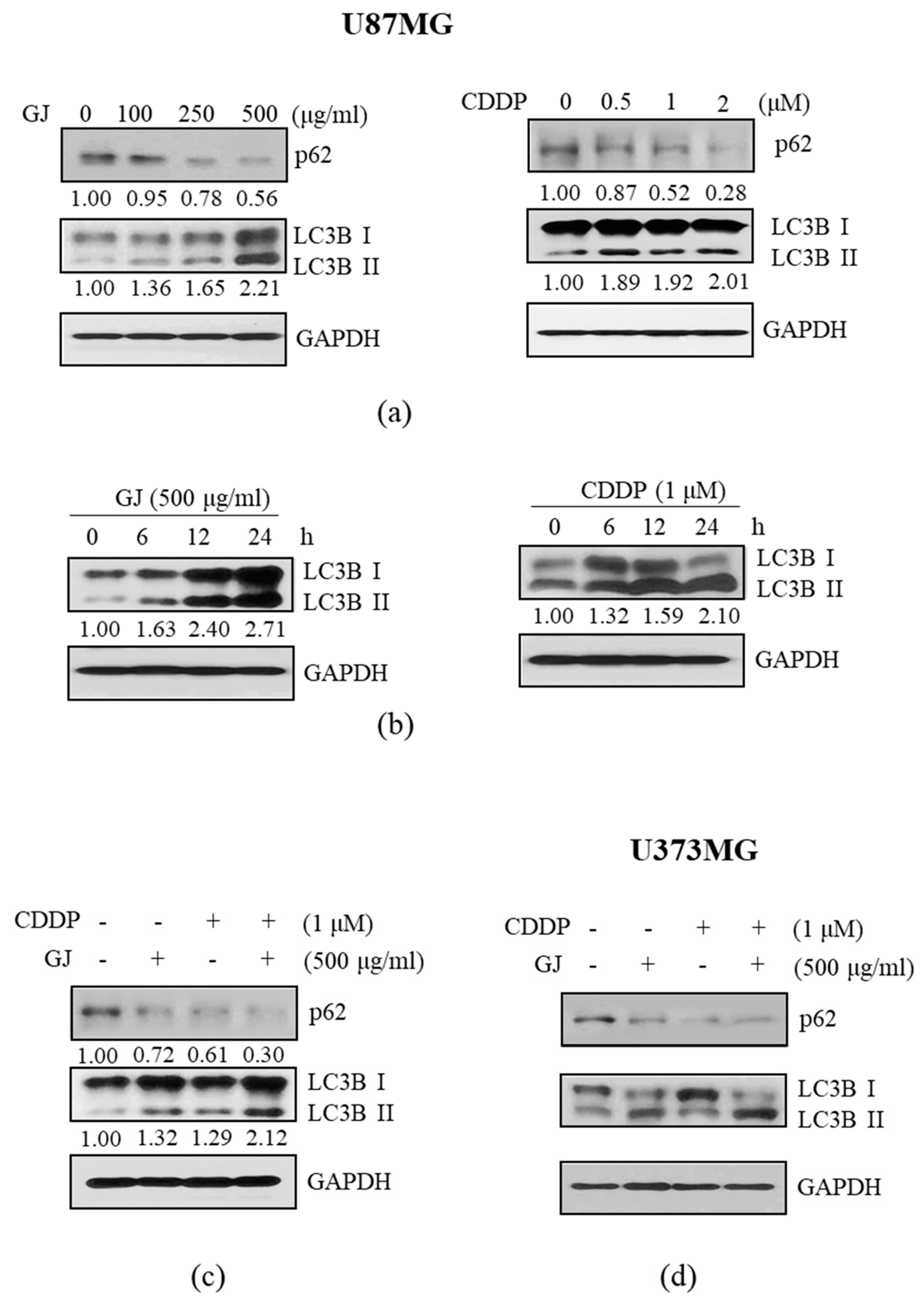 Nutrients 12 00196 g004 Nutrients 12 00196 g004
