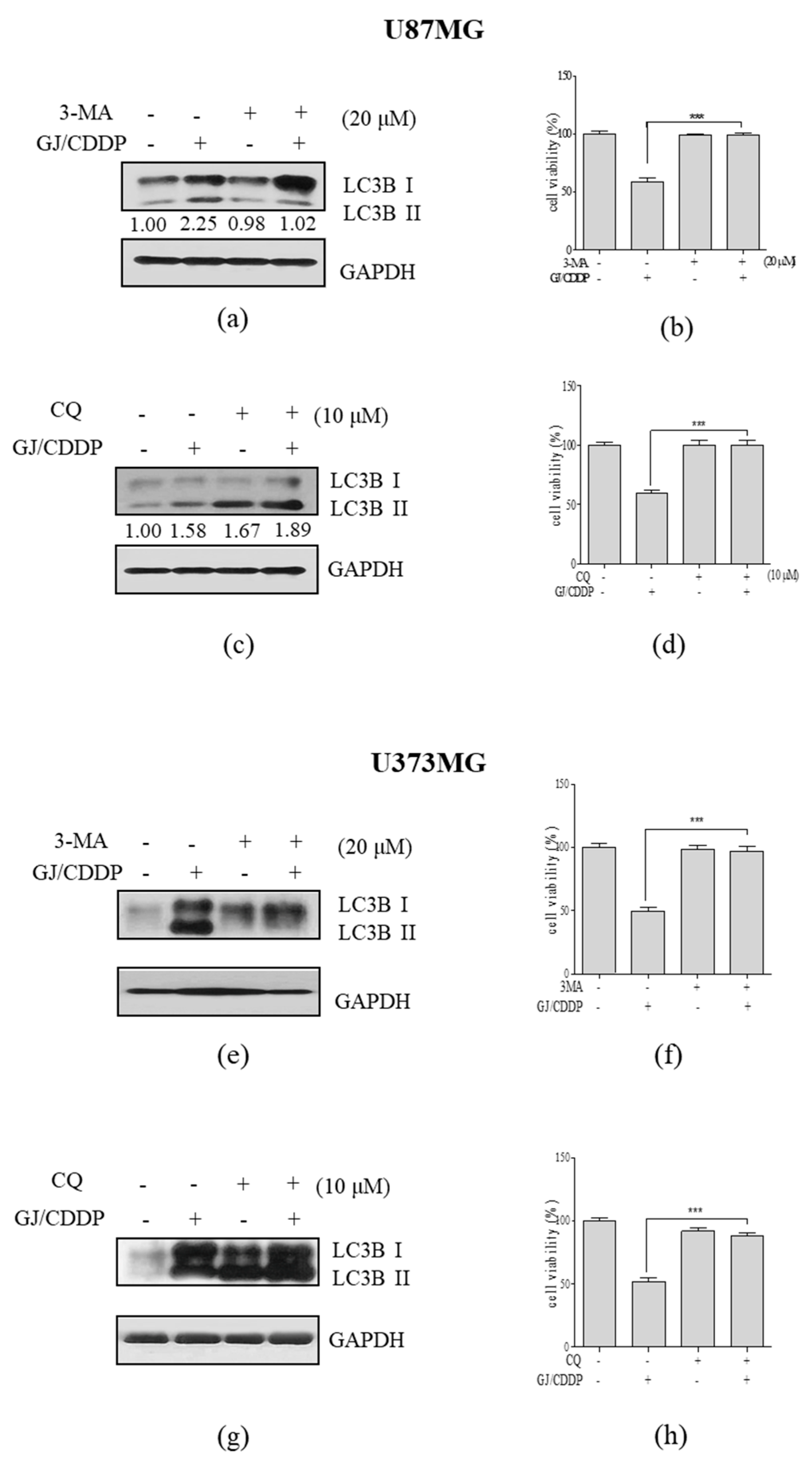 Nutrients 12 00196 g005 Nutrients 12 00196 g005