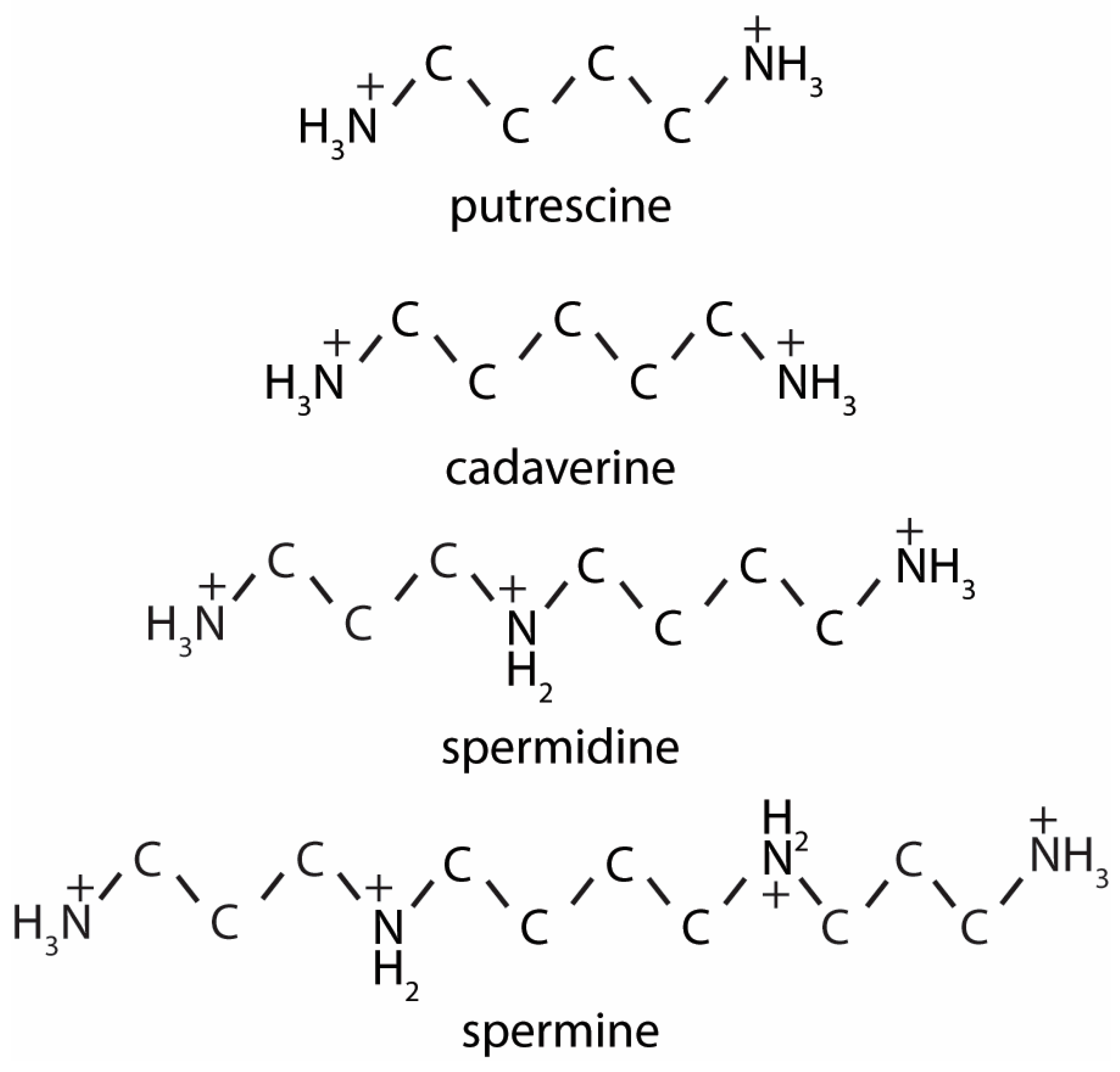 Nutrients 12 00197 g001