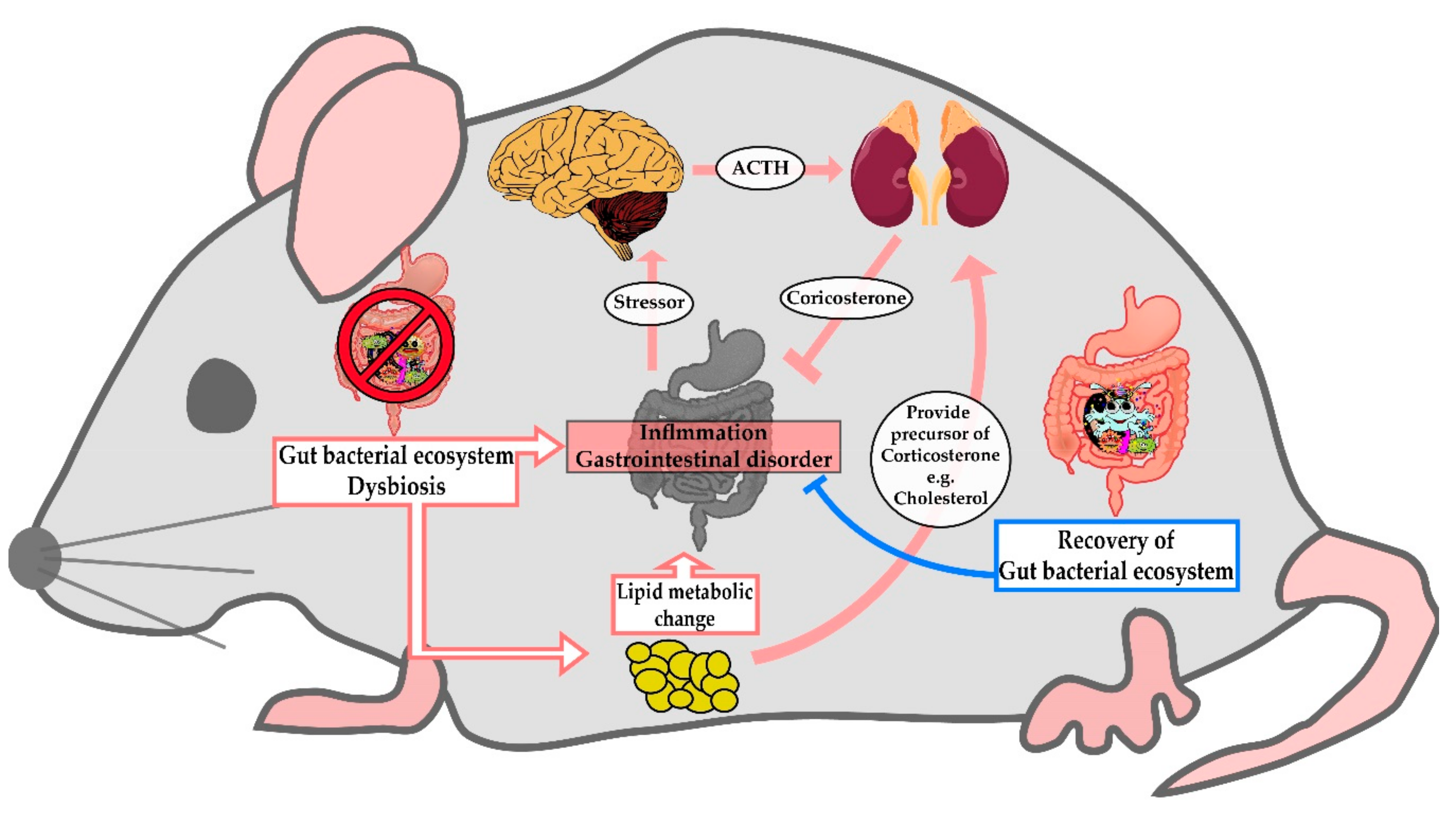 Nutrients 12 00205 g005 Nutrients 12 00205 g005