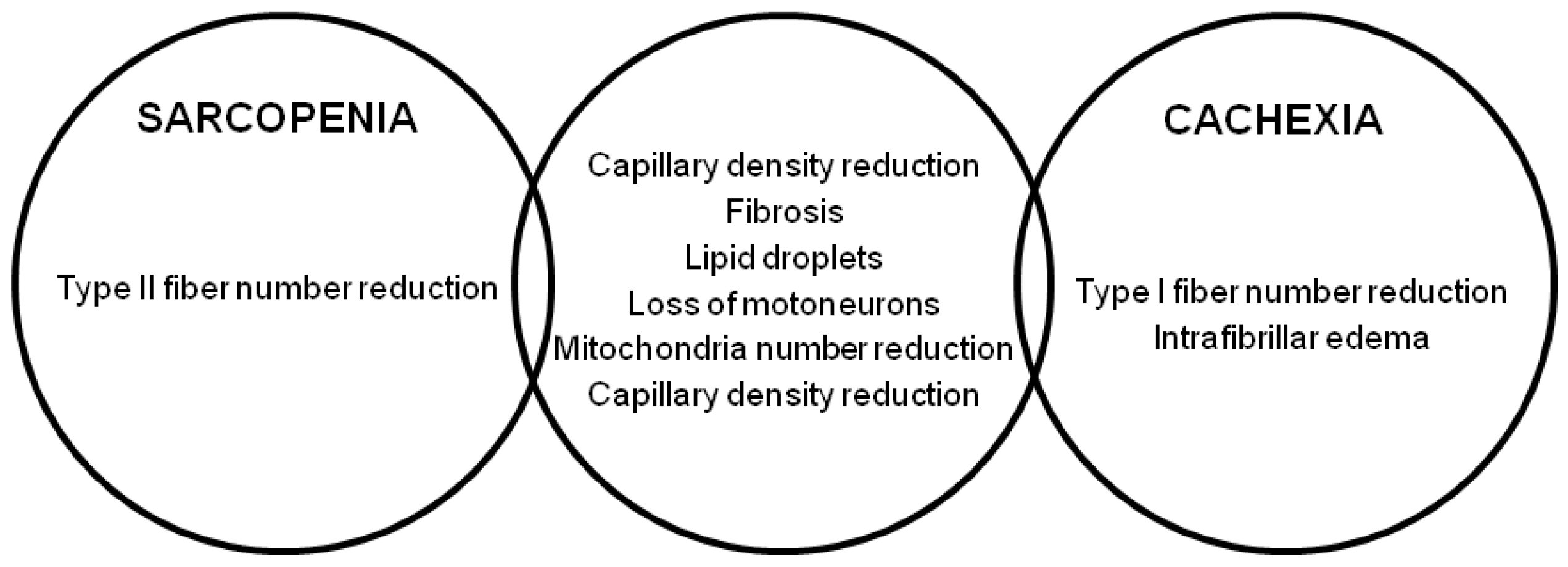 Nutrients 12 00211 g001