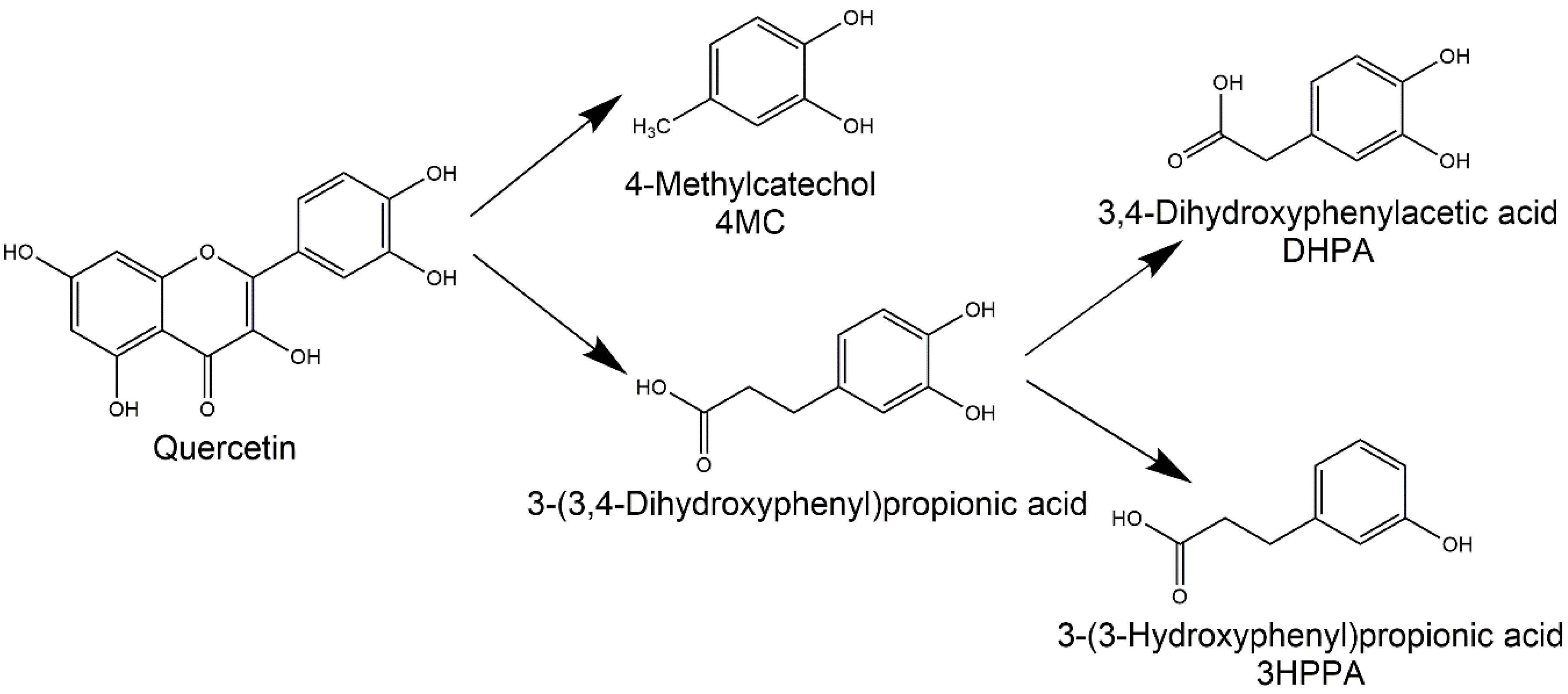 Nutrients 12 00213 g001