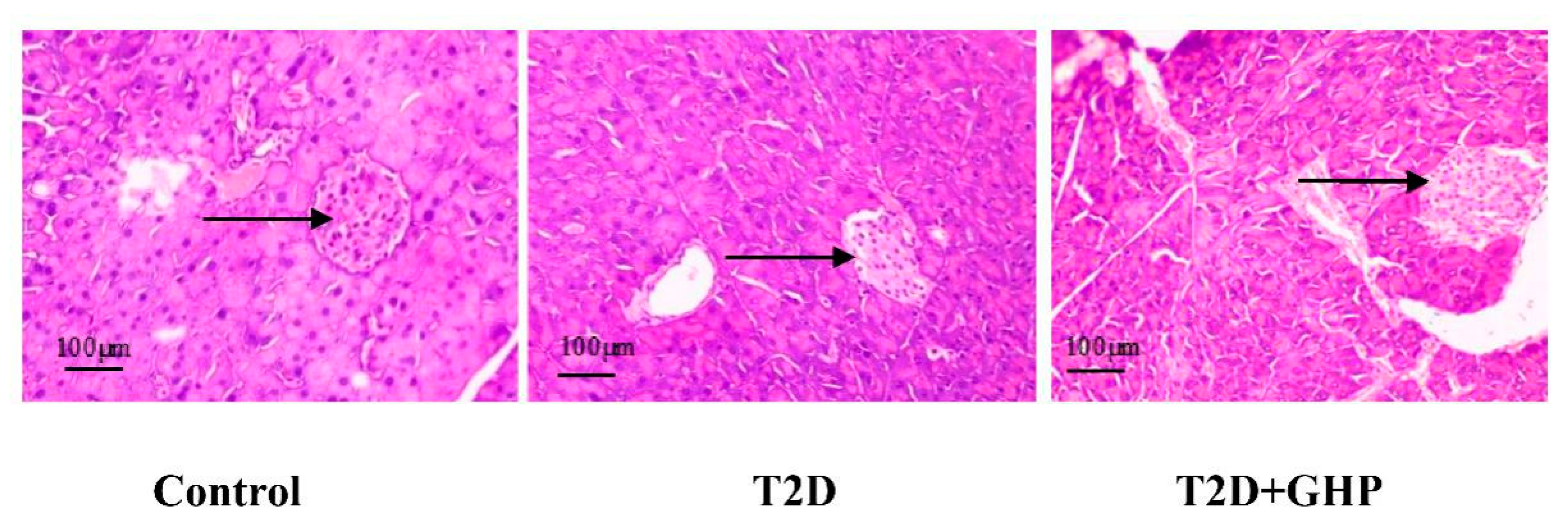 Nutrients 12 00220 g003 Nutrients 12 00220 g003