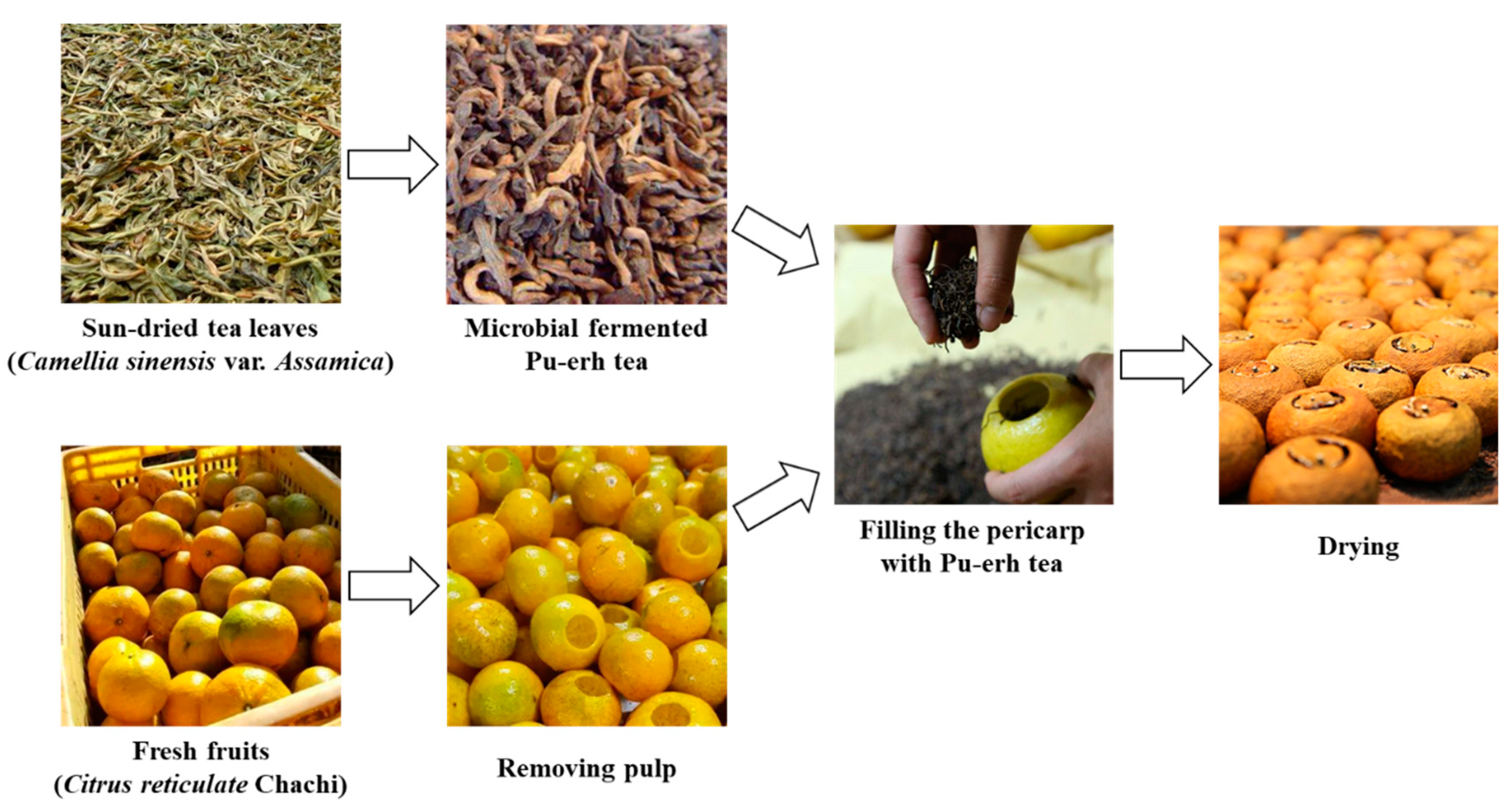 Nutrients 12 00224 g001