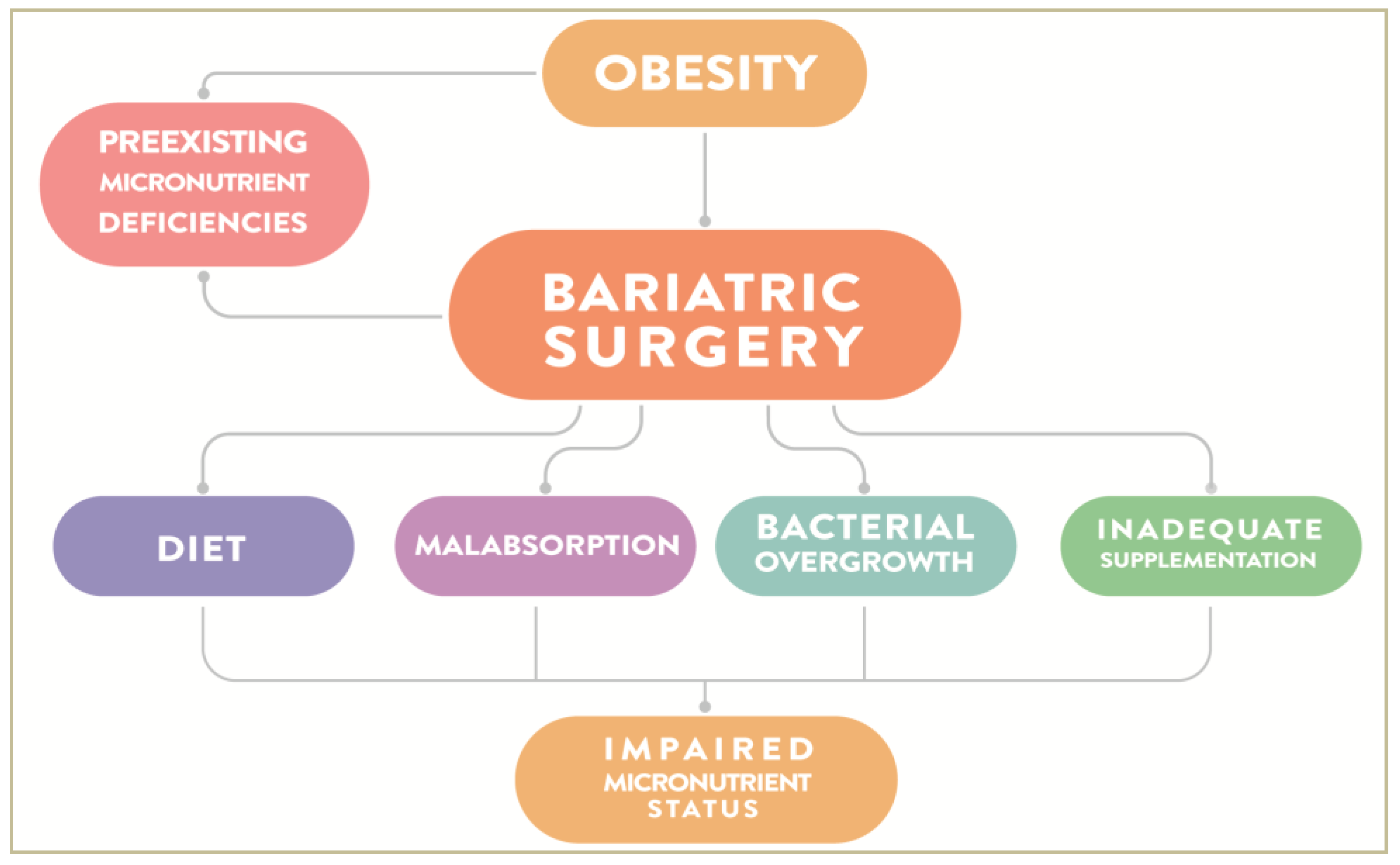 Nutrients 12 00235 g003 Nutrients 12 00235 g003