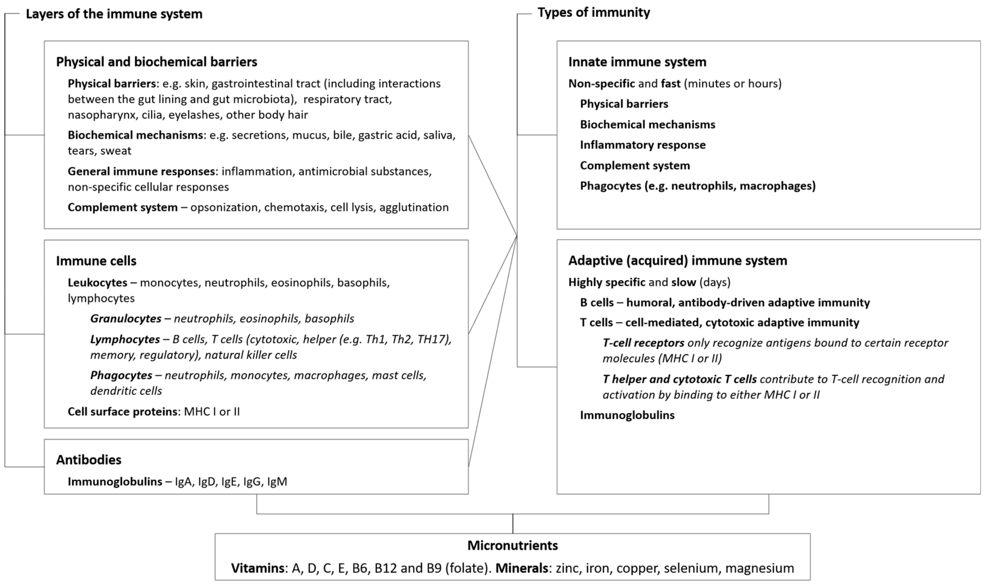 Nutrients | Free Full-Text | A of and the Immune System–Working in Harmony to Reduce Risk of Infection | HTML