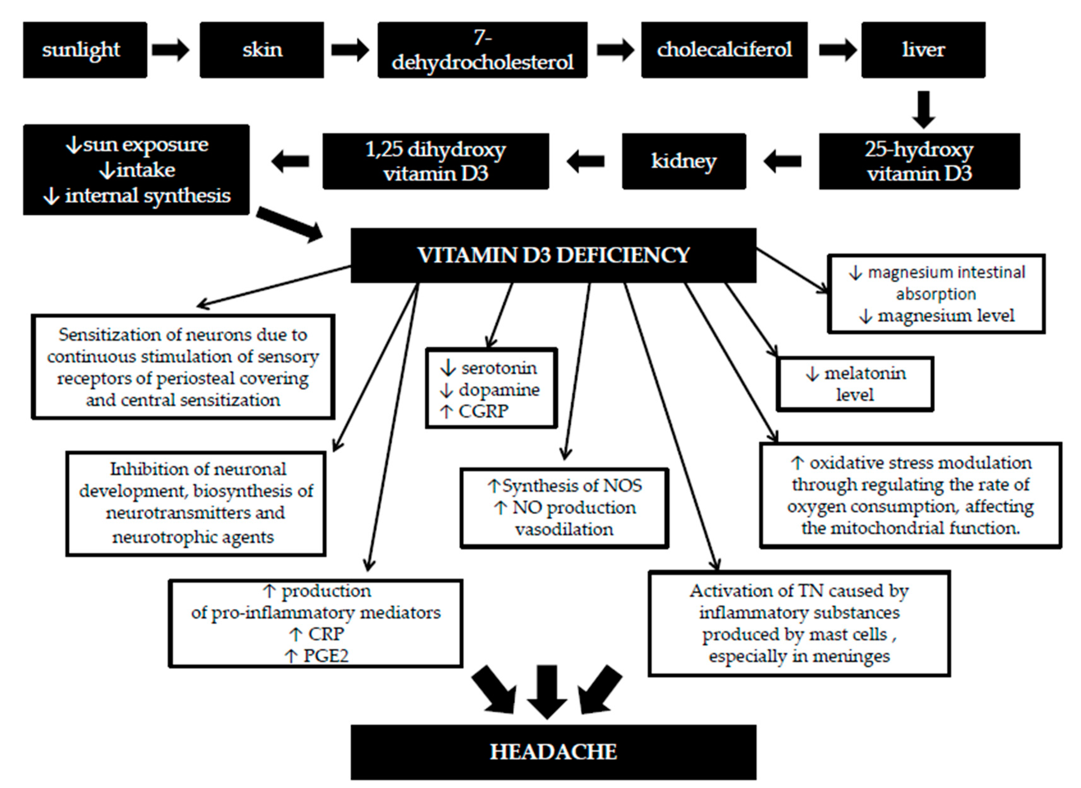 Nutrients Free Full Text The Role Of Vitamin D In