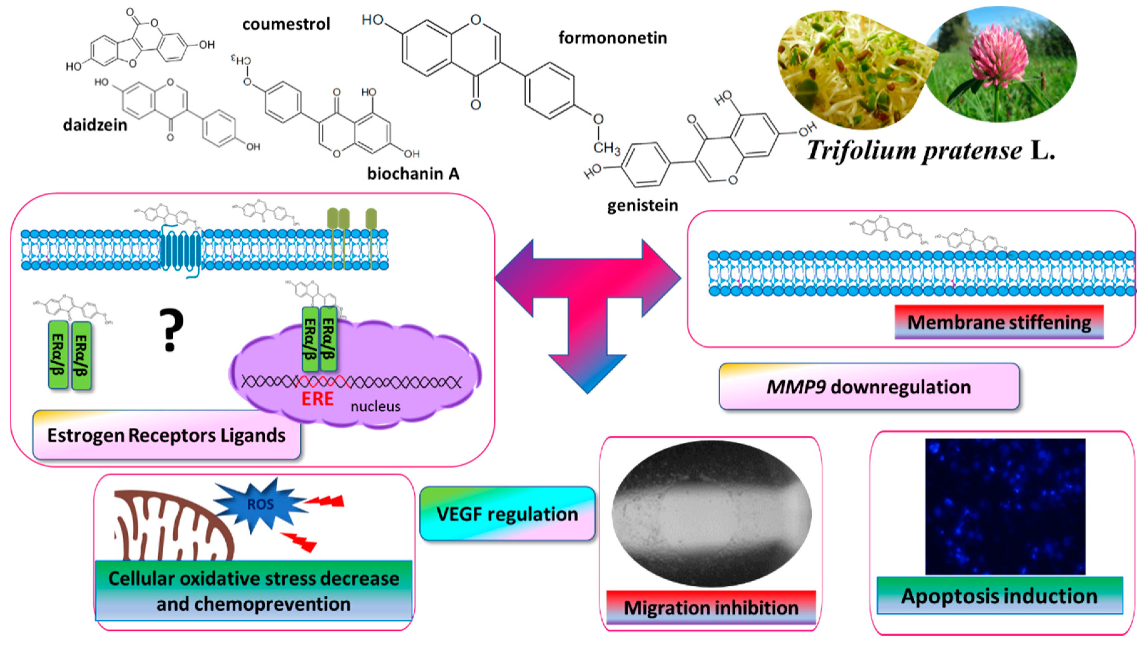 Nutrients 12 00257 g011