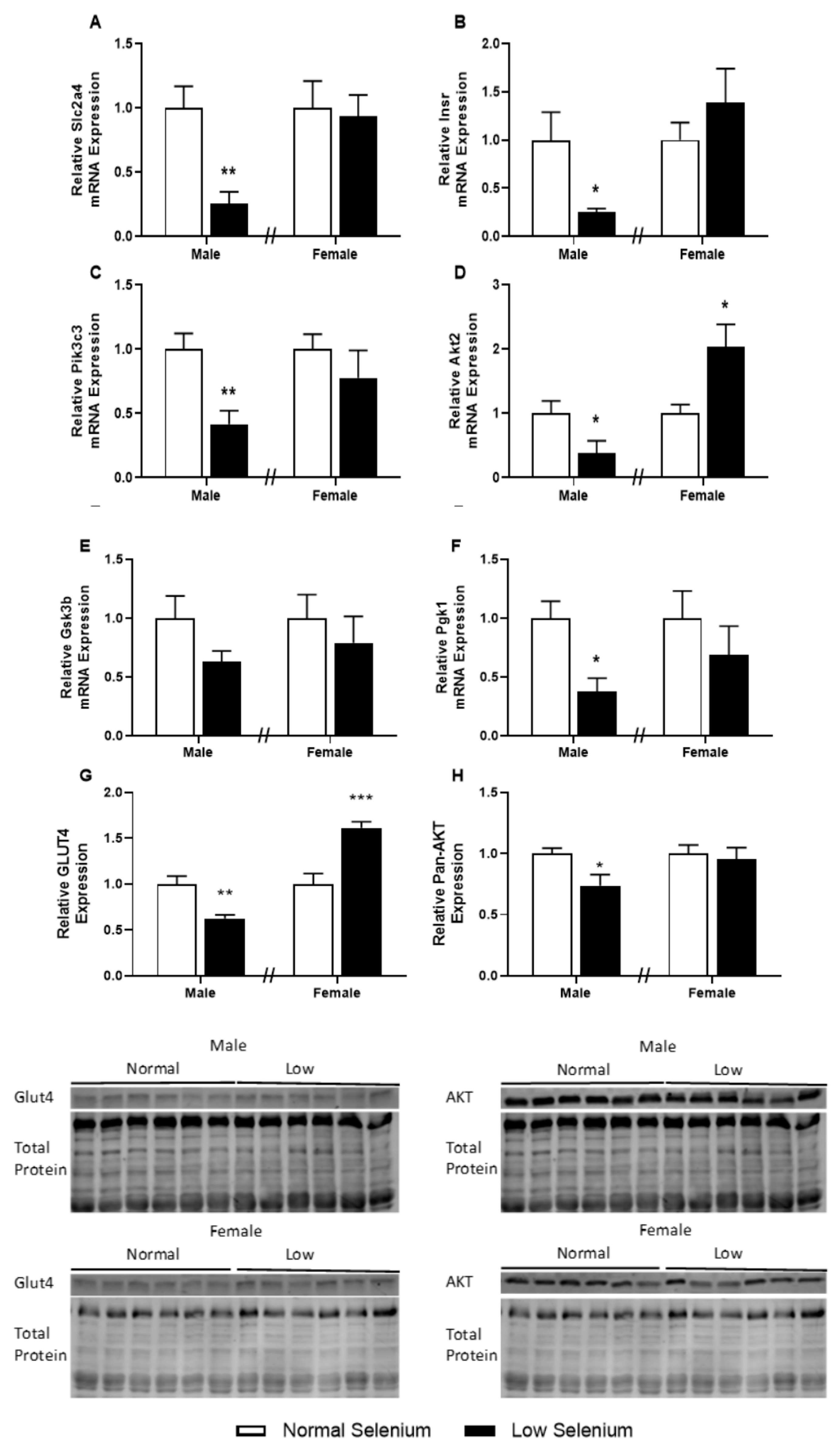 Nutrients 12 00267 g004