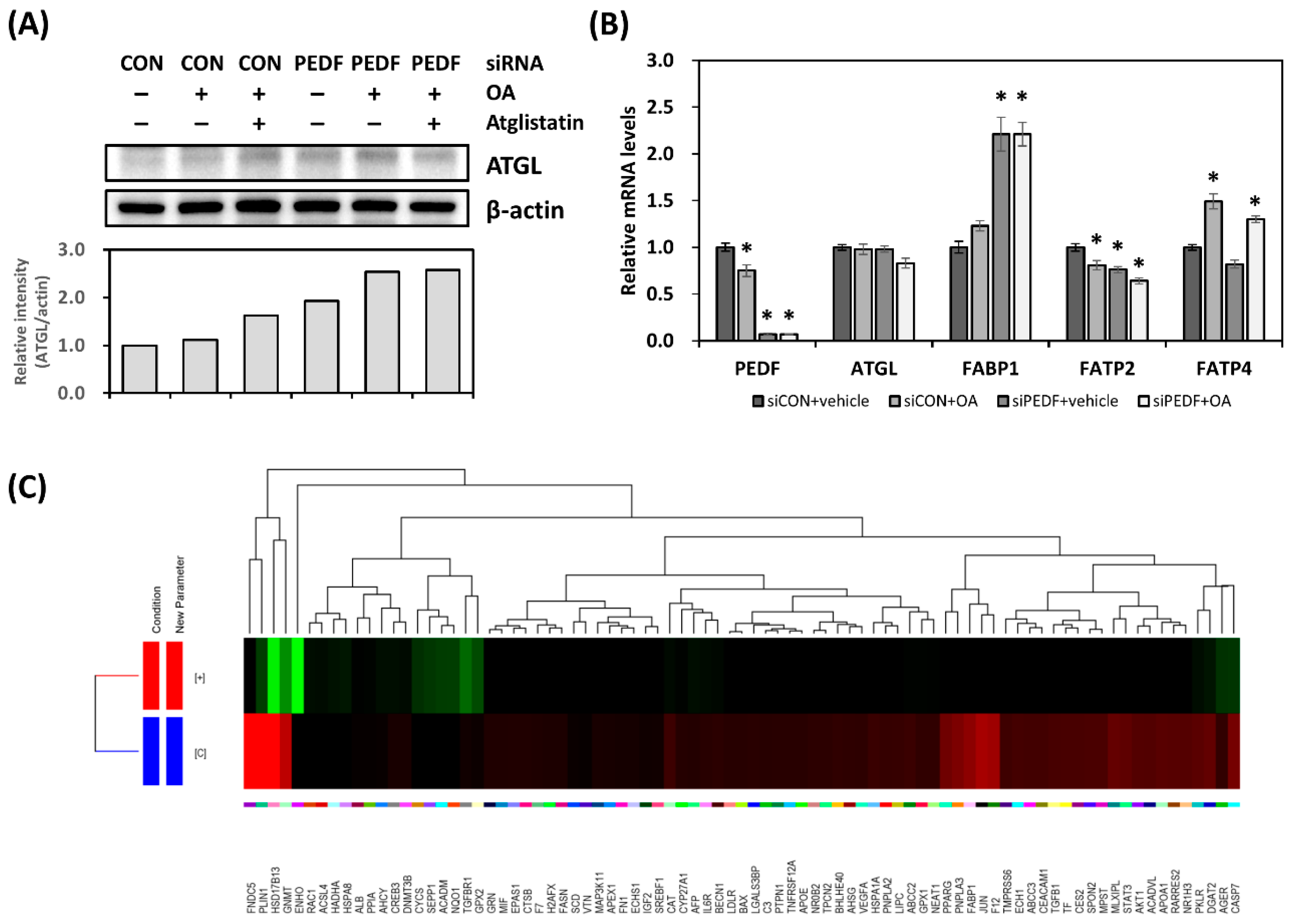 Nutrients 12 00270 g004 Nutrients 12 00270 g004