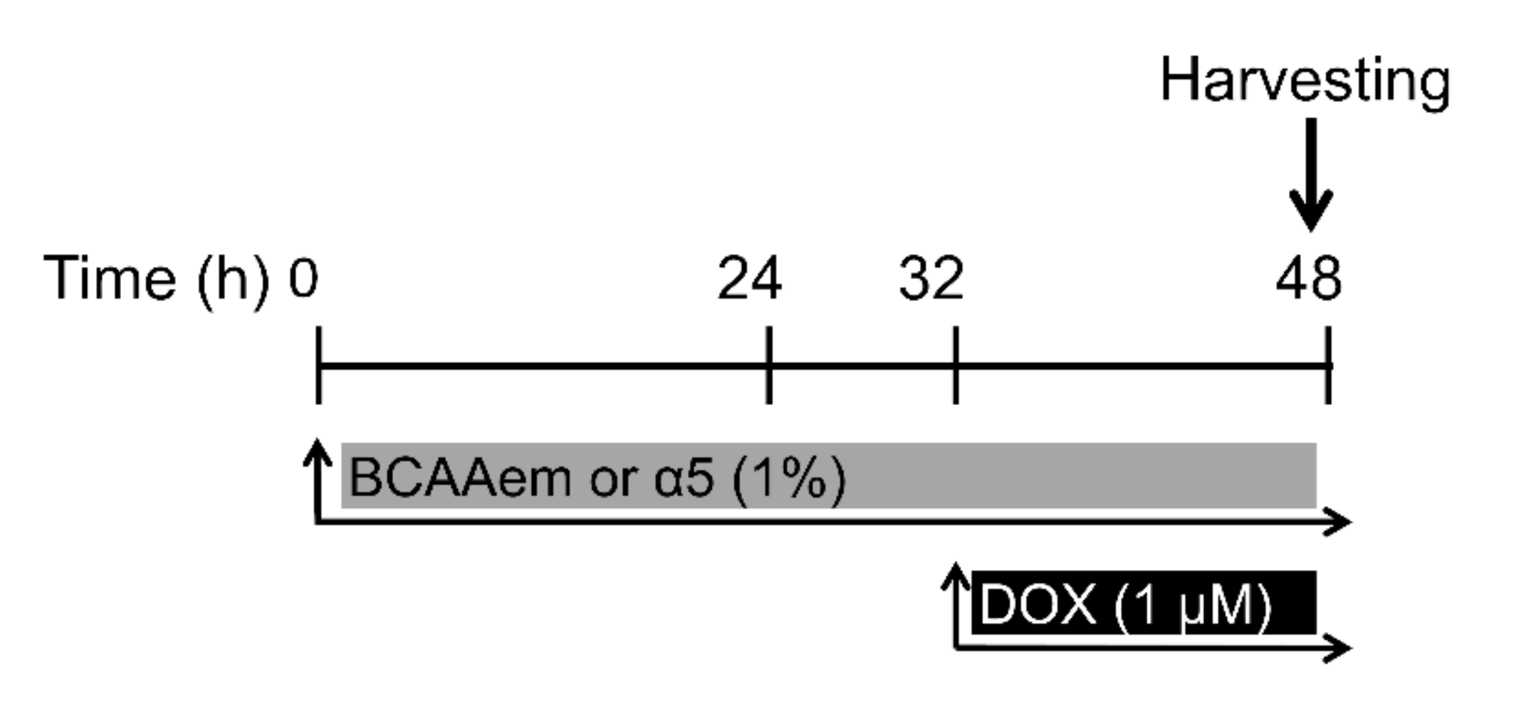 Nutrients 12 00282 g001 Nutrients 12 00282 g001