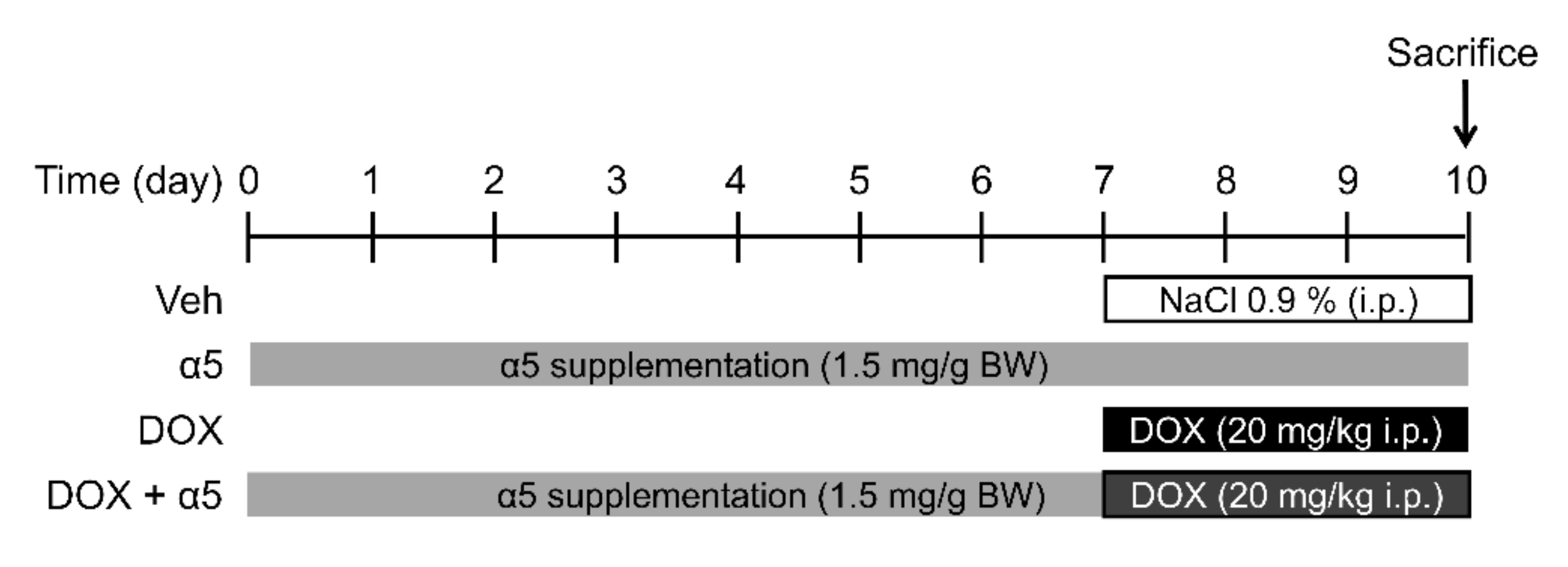 Nutrients 12 00282 g002 Nutrients 12 00282 g002