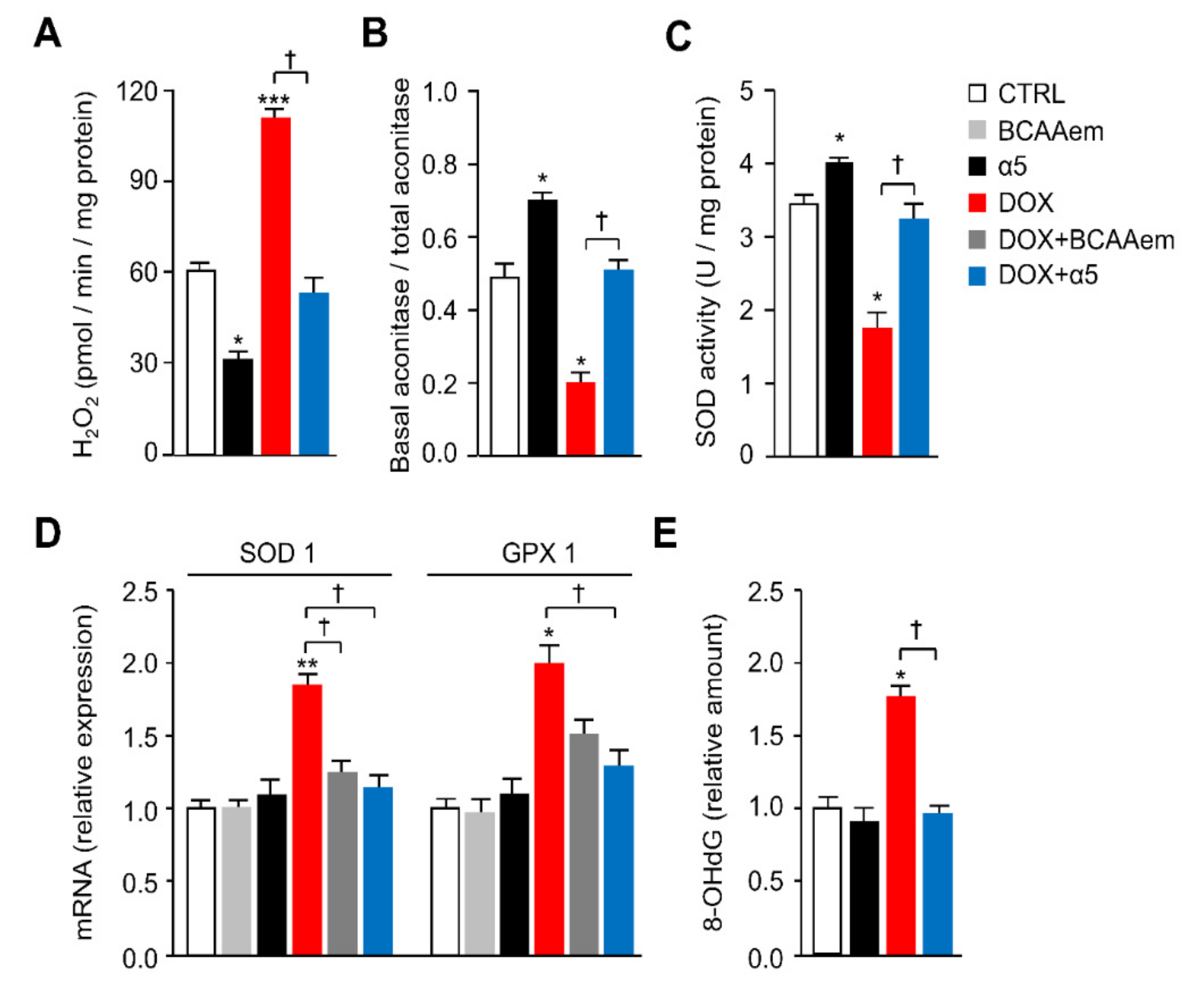 Nutrients 12 00282 g004 Nutrients 12 00282 g004