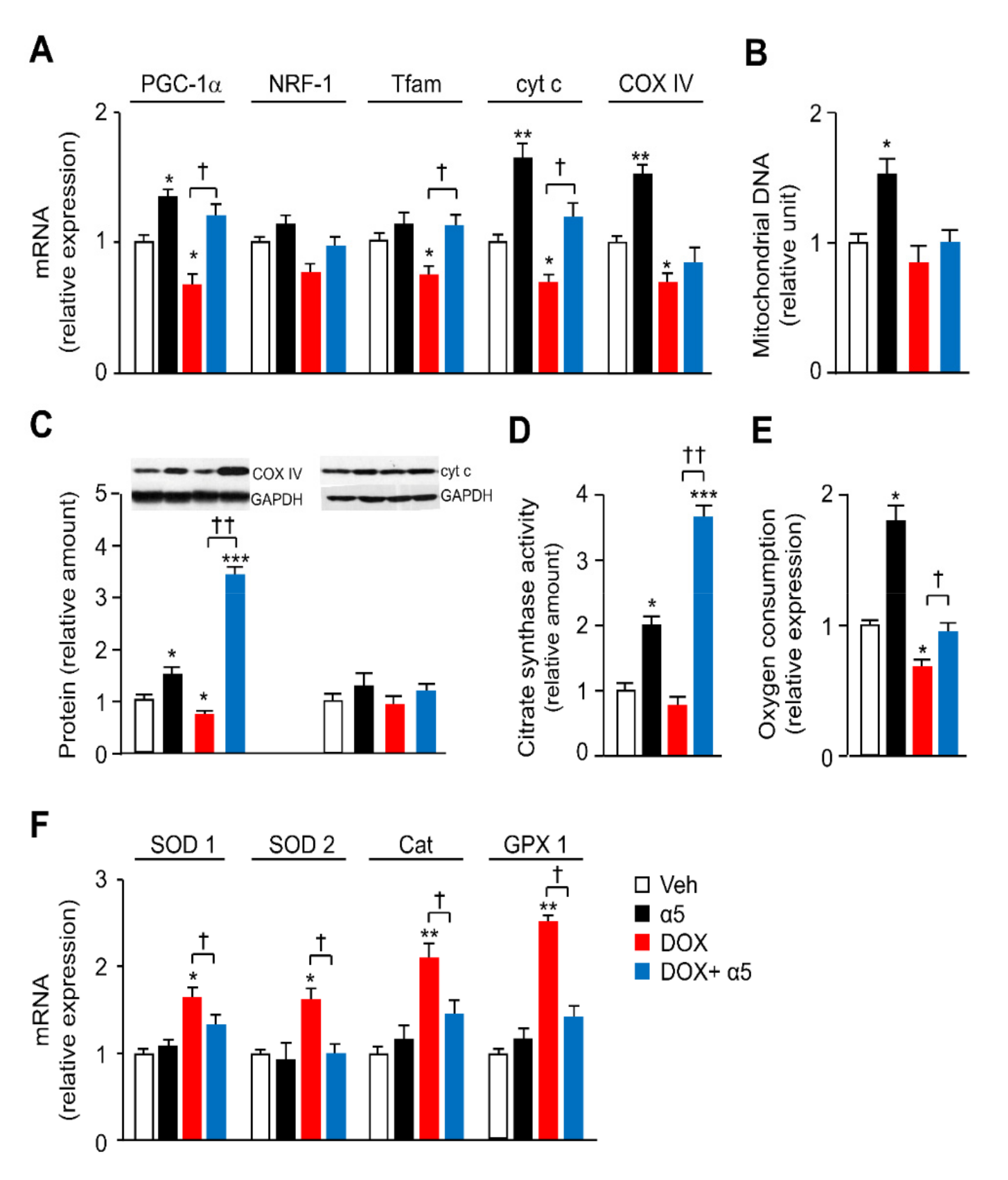 Nutrients 12 00282 g005 Nutrients 12 00282 g005